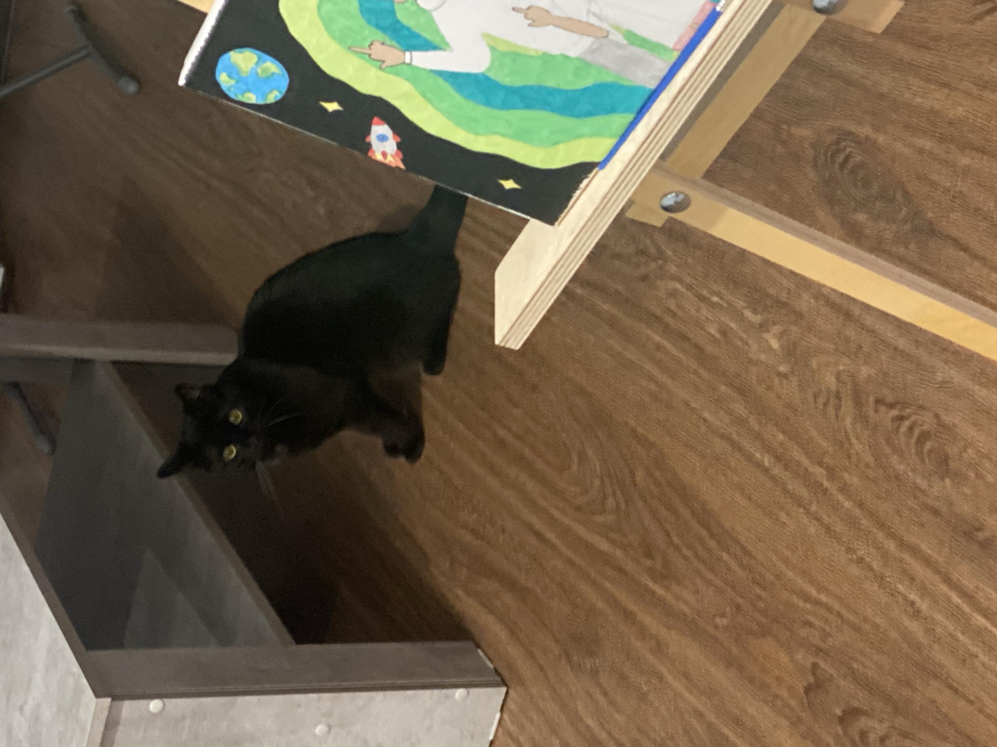 A high-angle shot shows a black cat with yellow eyes standing on a wood-patterned floor, positioned near a light gray shelf unit. Above the cat is an easel holding a colorful painting featuring the Earth, a rocket ship, and a person giving the middle finger. The location in Izhevsk, Russia is not determinable from the image.