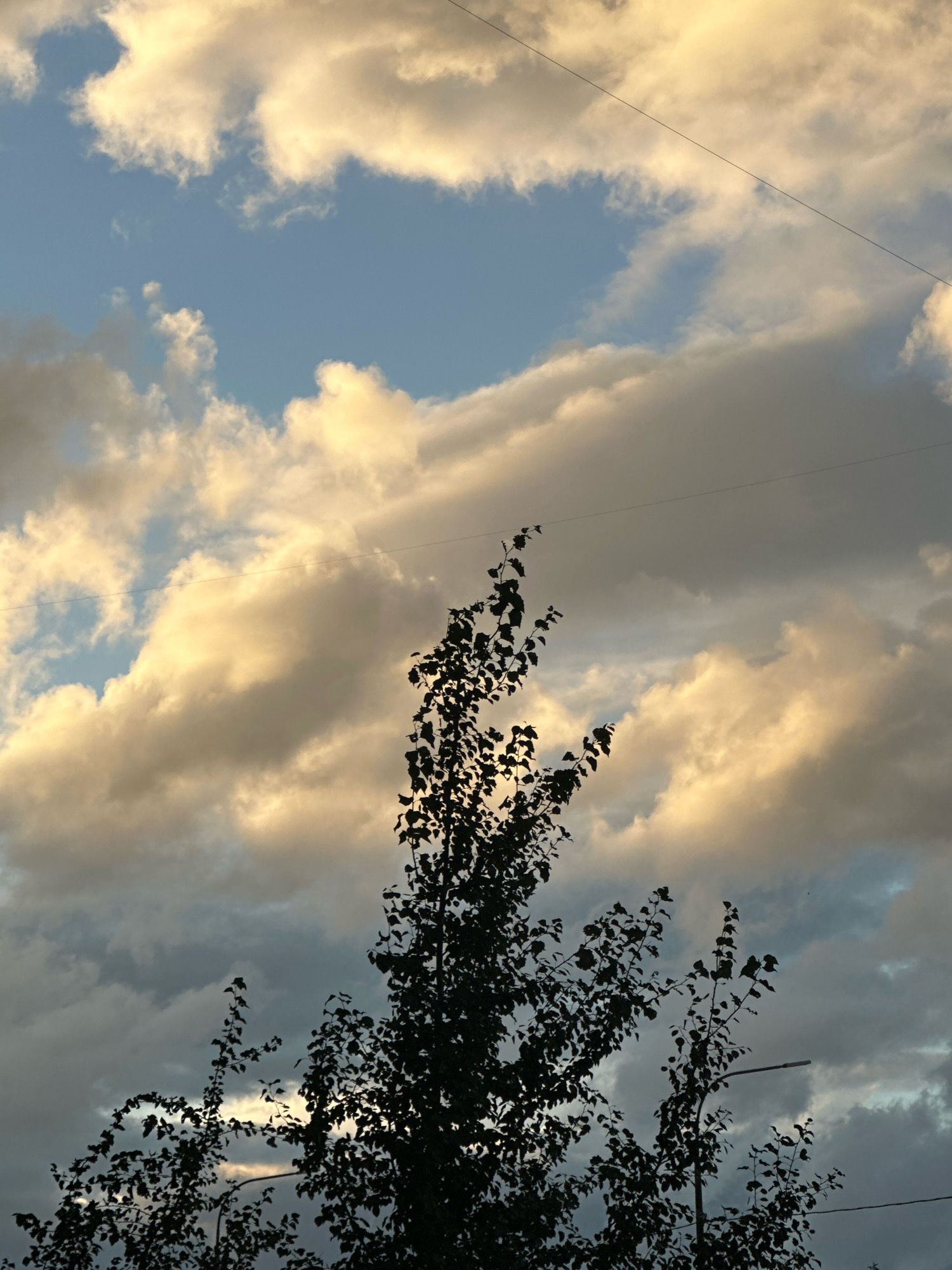 The image captures a silhouette of tree branches against a dramatic sky filled with fluffy, golden-tinged clouds and patches of blue. A thin electrical wire stretches diagonally across the upper portion of the frame. The foreground is dominated by the dark, leafy branches of a deciduous tree, obscuring the lower part of the scene. The lighting suggests either sunrise or sunset, with the clouds illuminated by warm, low-angled light. The overall atmosphere is serene and natural, with no people or specific urban features visible other than the wire and a faint suggestion of a lamppost base in the lower right.