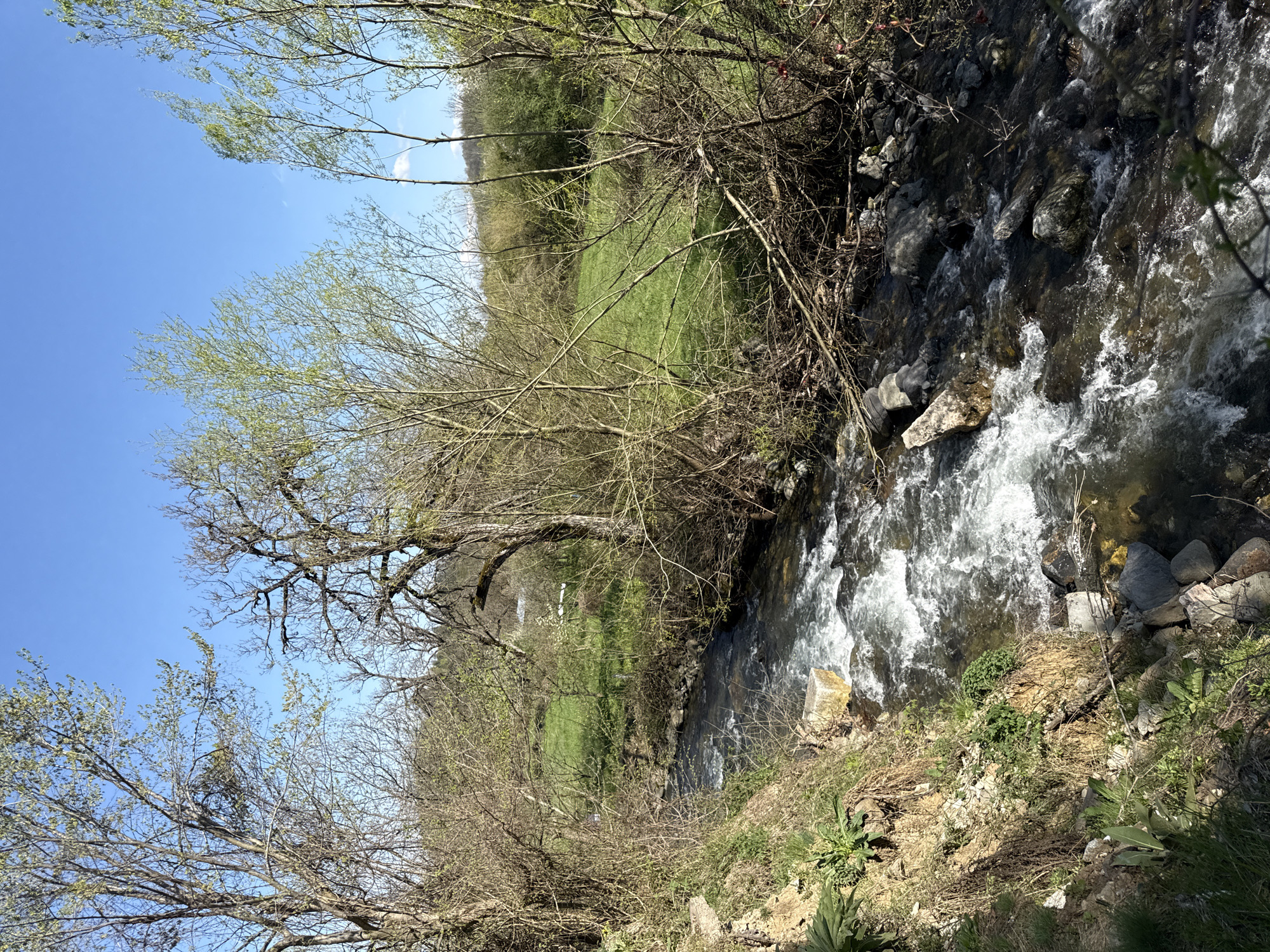 The image depicts a stream flowing through a natural environment, likely near Berkovitsa, Bulgaria. The stream, with its rocky bed and visible current, occupies the right side of the frame. Adjacent to the stream, the ground slopes upward, covered with vegetation. The left side of the image showcases a grassy field, edged by trees. The sky above is clear and blue.