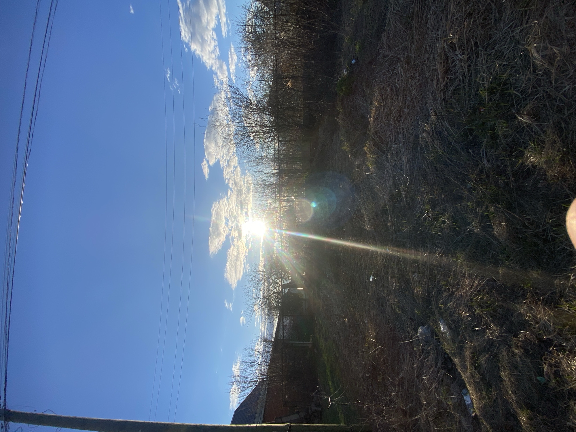 This is a landscape photograph taken outdoors, featuring a vibrant sky and an unkempt rural or semi-rural environment. The image appears to be rotated, but if viewed in standard orientation:
The upper portion of the frame is dominated by a clear, bright blue sky with scattered white cumulus clouds. A powerful, starburst-like sun flare emanates from the center-right, indicating the sun is low in the sky, likely during sunrise or sunset, casting a warm glow and lens flare across the scene. Several thin power lines or utility wires stretch horizontally across the upper part of the sky. A thick wooden utility pole is partially visible on the far left.
Along the horizon, a line of bare, deciduous trees stands, silhouetted against the bright sky, suggesting a cooler season such as late autumn or winter. Behind the trees, faint outlines of structures, possibly buildings or fences, are discernible.
The foreground and midground consist of dry, brown, and yellowish overgrown grass and weeds, with some patches of green vegetation. Several pieces of white litter, possibly plastic bags or bottles, are scattered throughout the dry grass, particularly visible in the lower right and center.
No people or animals are visible. The overall scene suggests a quiet, undeveloped or neglected area, illuminated by the warm light of the setting or rising sun. There is no visible text.
