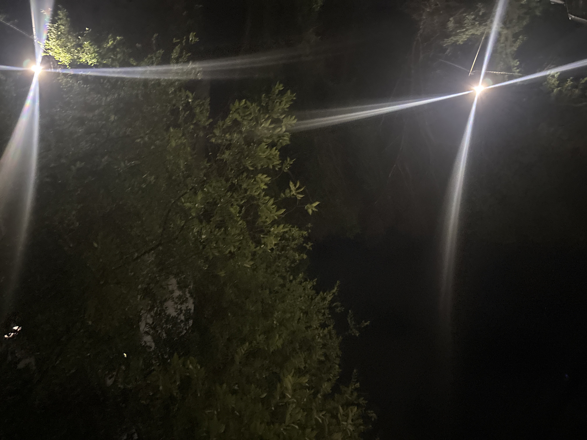 An outdoor nighttime scene in Dobrich, Bulgaria, captures a streetlamp emitting a bright, starburst effect with four distinct beams of light. The light illuminates a dense canopy of green foliage from an overhead tree, casting dappled shadows. In the background, the darkness of the night is punctuated by additional diffused light sources, potentially other streetlights or distant buildings. The overall impression is of a serene, nocturnal urban environment.