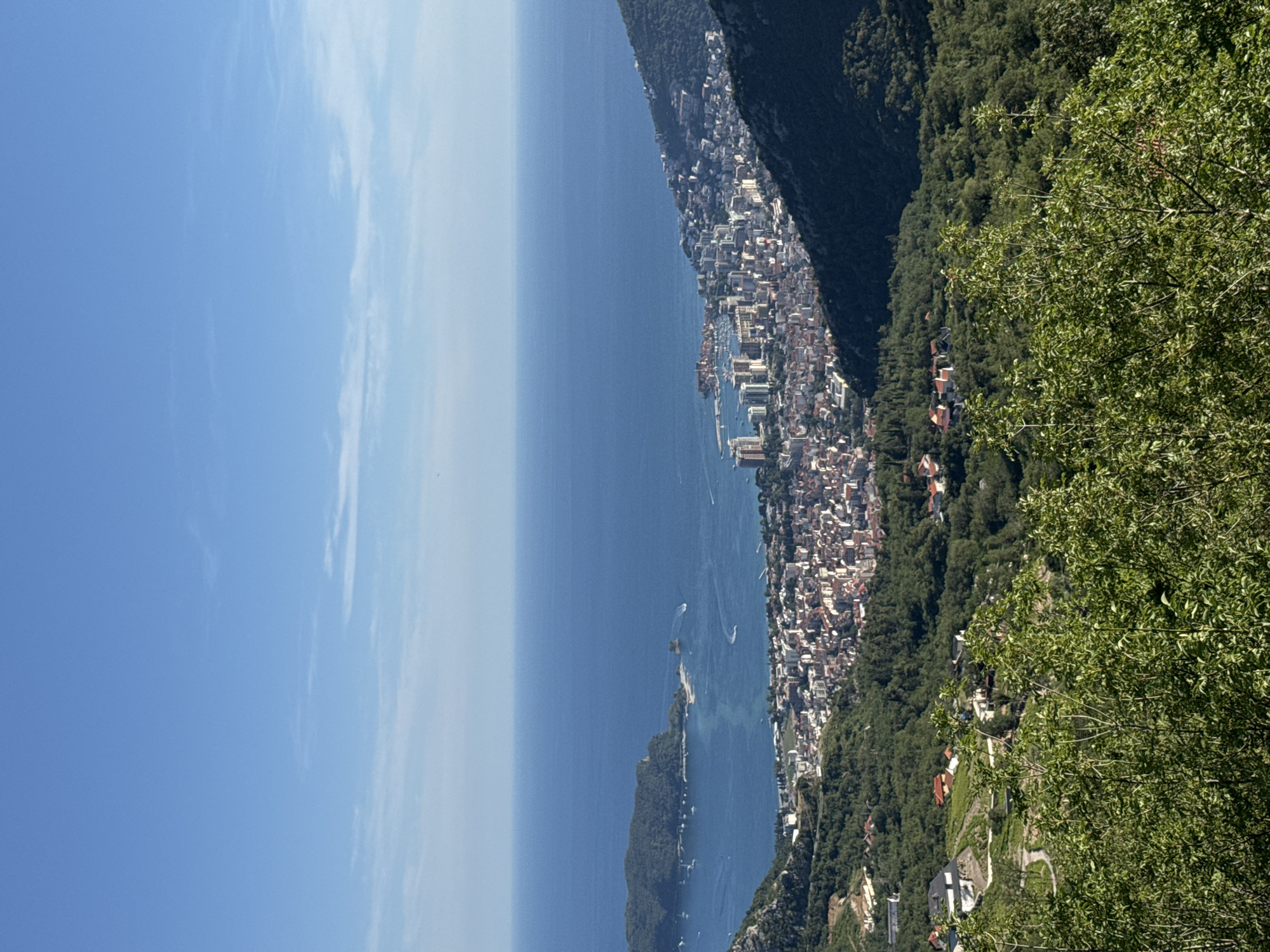An aerial view captures a coastal city nestled between lush green hills and a vast expanse of blue ocean under a clear sky. The city, characterized by its dense collection of buildings with red-tiled roofs and modern high-rises, stretches along the coastline. The sea is dotted with several boats, and a prominent island covered in dense green foliage juts out into the water, further out from the city. The foreground is dominated by the branches of green trees, with some smaller houses and structures visible on the hillsides behind them.