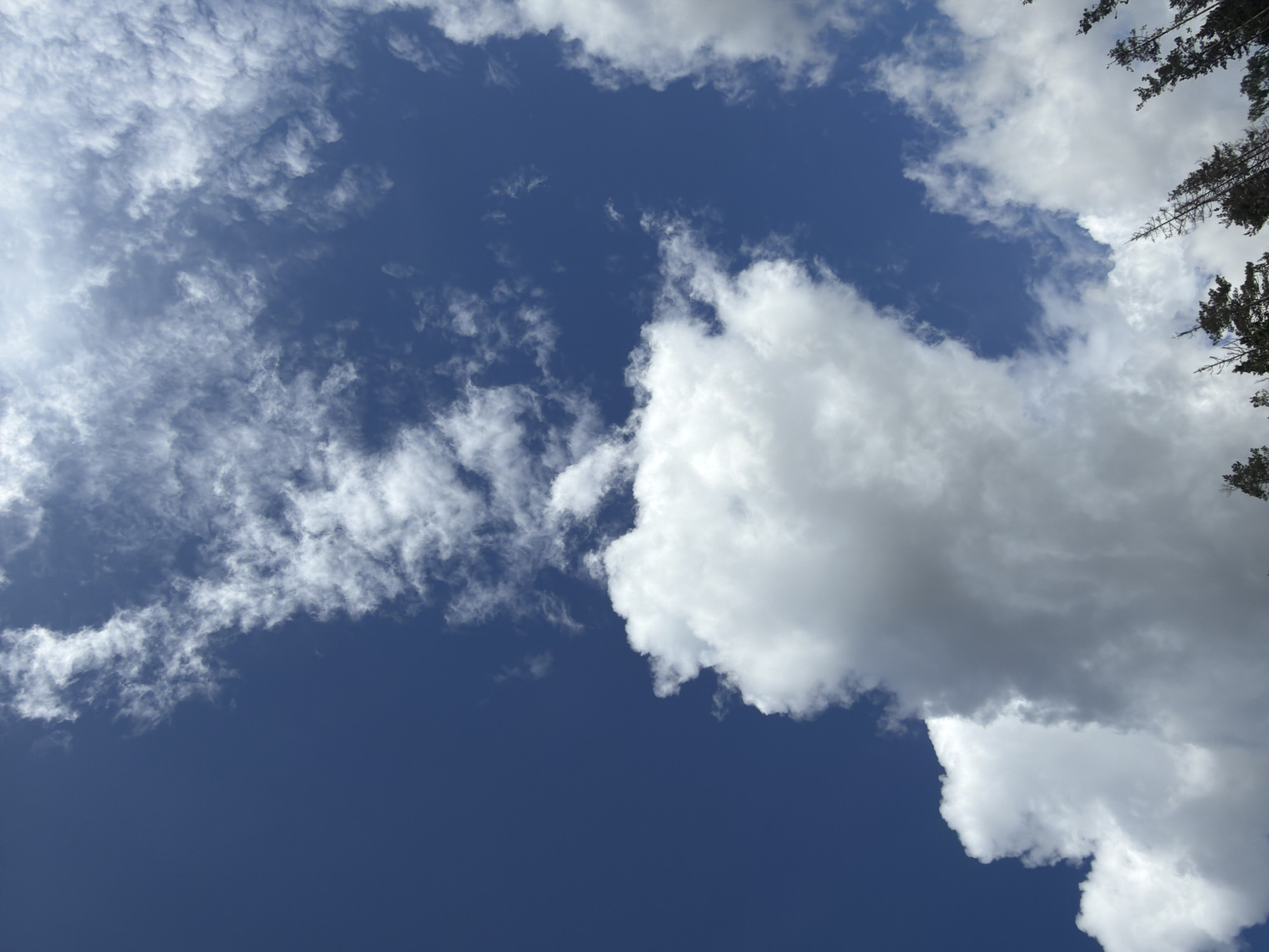 The image shows a view of the sky. The sky is primarily a deep blue color, with varying densities of white clouds scattered throughout. Some of the clouds are thin and wispy, while others are larger and more defined. Tree branches are visible in the upper right corner. There is no information provided to determine if the photo was taken in Stimul, Russia, or any other city. No people, subjects, objects, actions, or interactions can be determined from the image. The environment is an outdoor daytime scene with clouds in the sky and trees.