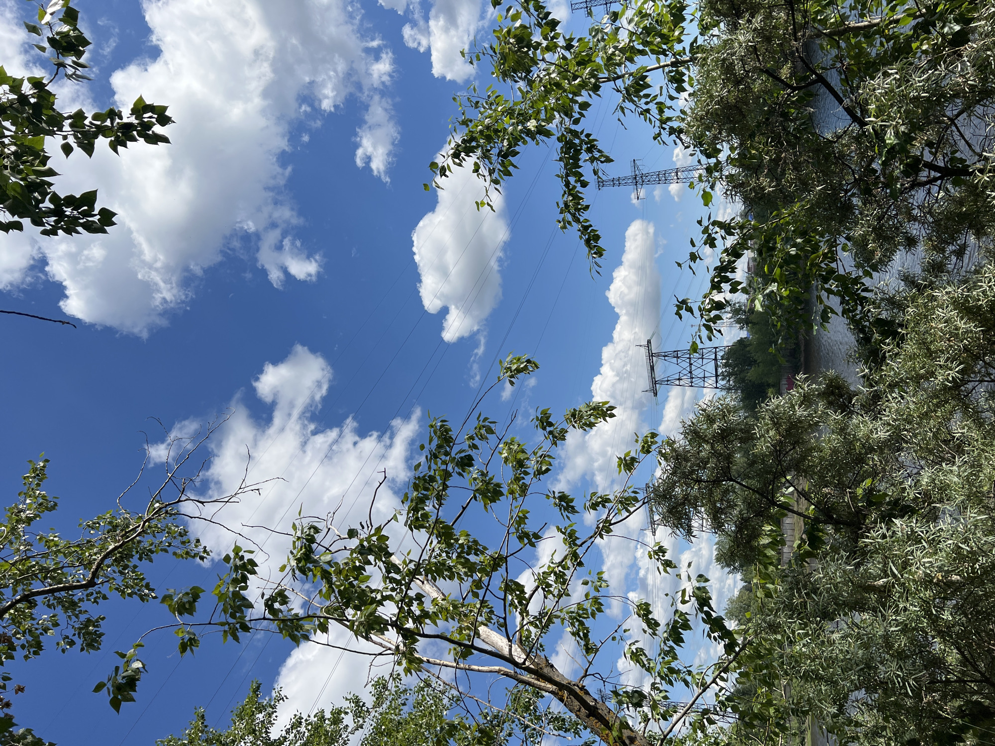 A vertical, medium-shot photograph captures a sky filled with blue and scattered white clouds, with several transmission towers visible in the distance. In the foreground, leafy branches of trees frame the view. The scene appears to be an outdoor location with a body of water, possibly a river or lake, in the middle ground, bordered by trees on the far bank. This scene is located in Chaikovsky, Russia.