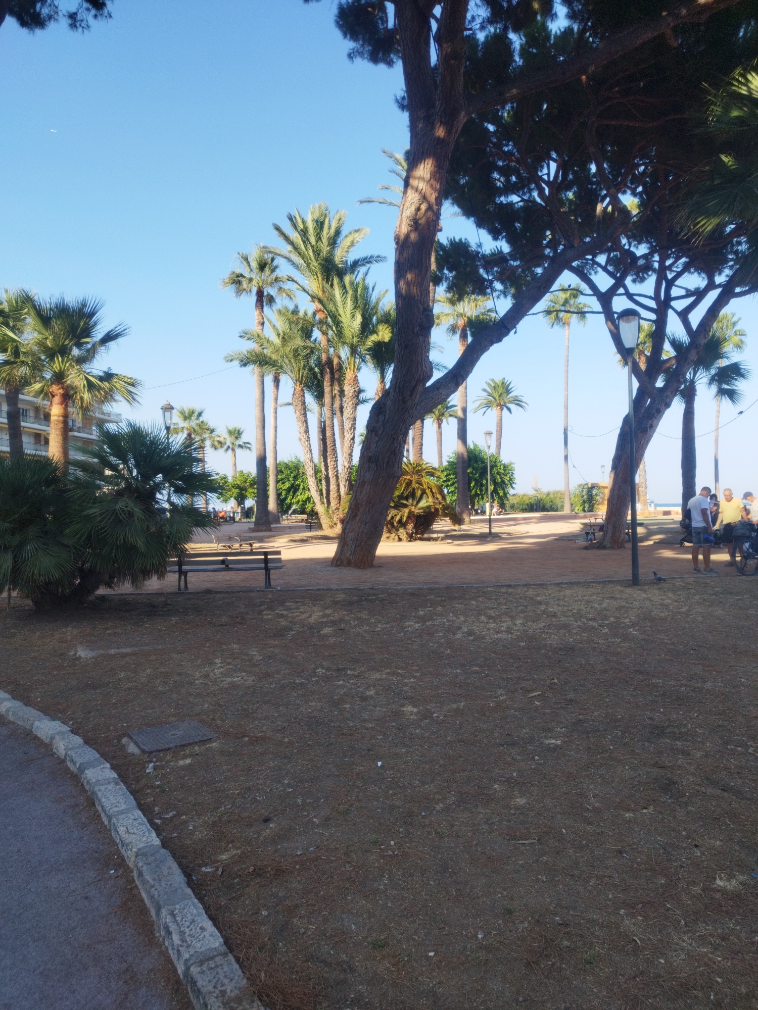 The image depicts a park with palm trees and pine trees under a clear blue sky. A paved walkway with a stone border is visible on the left. In the park, there is a wooden bench and several people are standing and walking around. In the background, there is a building and more palm trees. The scene appears to be outdoors in a warm climate. The location is likely Antibes, France, given the palm trees and architecture.