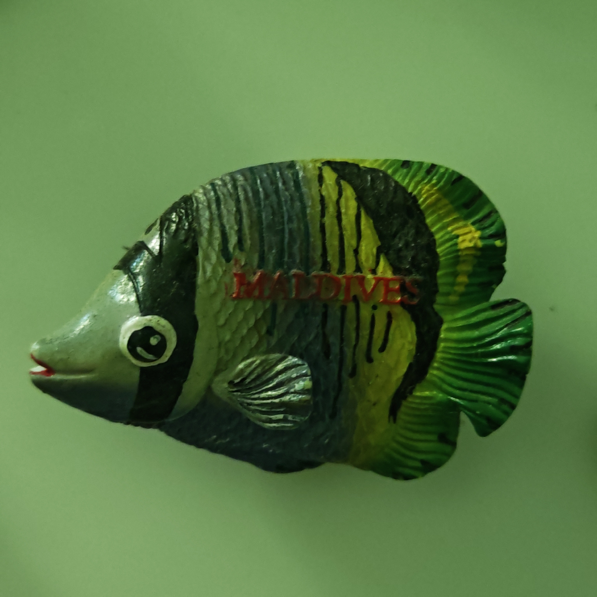 A colorful, fish-shaped decorative object, likely a souvenir or magnet, is centered against a plain, light green background. The fish is oriented to the left, showcasing its left side.
The object depicts a tropical fish, possibly a butterflyfish or angelfish, with intricate patterns. Its head is a pale gray, featuring a round black-and-white eye and a slightly open mouth with a hint of red. The body of the fish is adorned with alternating vertical stripes of dark blue/black and vibrant yellow/lime green. The fins, including the dorsal, caudal, and pectoral fins, are predominantly bright green with some darker markings and a textured, ridged appearance.
Prominently displayed in red, raised letters on the mid-section of the fish's body is the word "MALDIVES," indicating its origin or theme as a souvenir from the island nation. The background is uniformly light green, suggesting a wall or flat surface, and there are no other objects visible in the frame. The lighting appears even, highlighting the textures and colors of the fish.
