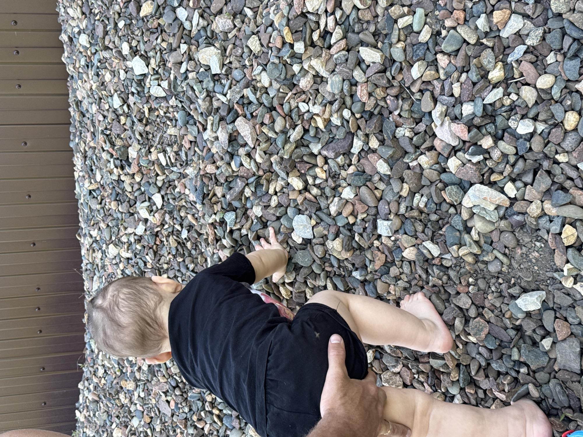 An overhead shot captures a baby or toddler, dressed in a black long-sleeved top and black shorts, on their hands and knees on a surface covered with gravel. The child's face is not visible as their back is to the viewer, but their small hands are placed on the pebbles as if exploring or attempting to crawl. An adult's hand is visible on the right side of the frame, gently supporting or guiding the child by their shorts.
The ground is densely covered with a mix of small to medium-sized pebbles and rocks, exhibiting a variety of natural colors including shades of grey, brown, white, and hints of green and reddish-brown. To the left, a vertical section of a corrugated brown metal wall or siding is visible, punctuated by several evenly spaced dark fasteners. The scene is outdoors, likely during daytime, under soft lighting without harsh shadows. The setting suggests an area in Zykova, Russia, possibly a backyard or a path next to a building. No visible text is present in the image.