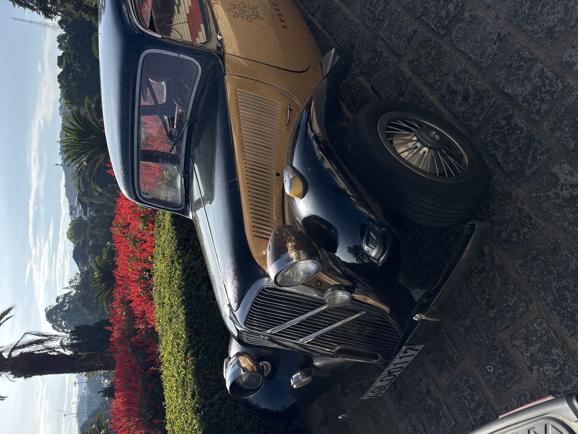 A vintage two-tone automobile, predominantly navy and beige, is parked on a cobblestone surface. The car bears the inscription "DALAT PALACE" with stars and text. A spare tire is mounted on the right front fender. Red flowers are adjacent to a hedge. Palm trees and hillside buildings are in the background. The car's license plate number is 49LD00117. The setting is likely within Da Lat, Vietnam, due to the inscription referencing "DALAT PALACE."