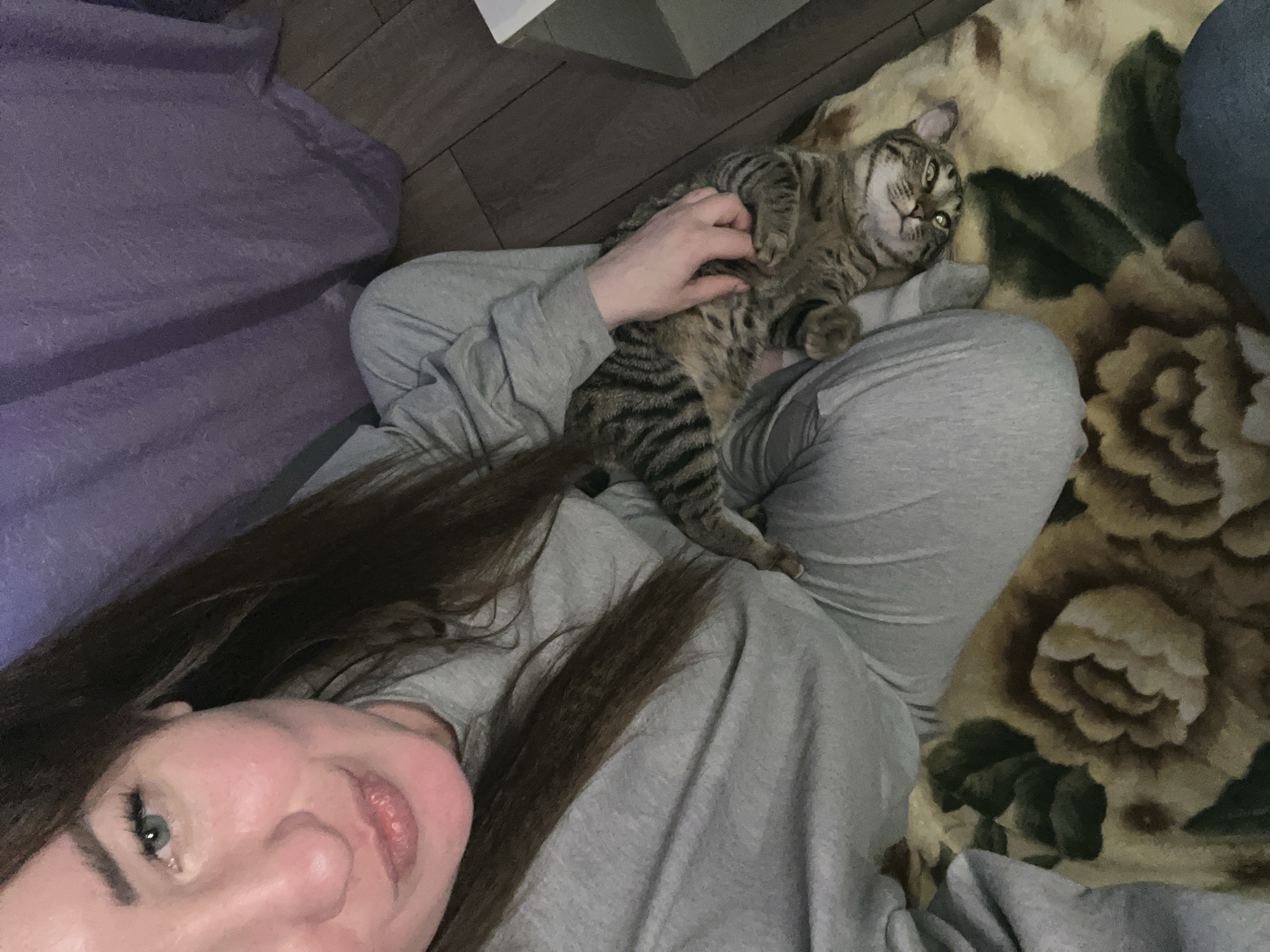 An adult female and a domestic cat are depicted in an indoor setting within the city of Chaikovsky, Russia. The female, positioned in the upper-left of the frame, has long, dark brown hair and light-colored eyes, and is wearing a grey long-sleeved shirt and matching grey sweatpants. She is looking directly at the camera with a slight smile, suggesting a selfie. Her right hand is extended, interacting with a tabby cat. The cat, exhibiting grey-brown fur with dark stripes, is lying on its back on a patterned blanket, exposing its belly. Its head is oriented towards the bottom-right of the image, and its front paws are slightly bent. The female's hand is visible petting or scratching the cat's chest and belly area. The patterned blanket, featuring cream, brown, and green floral designs, covers a portion of a dark wood-grain floor visible on the right. In the background, a large purple curtain or fabric is visible, along with a small portion of a white, angular object, possibly furniture, on the wooden floor.