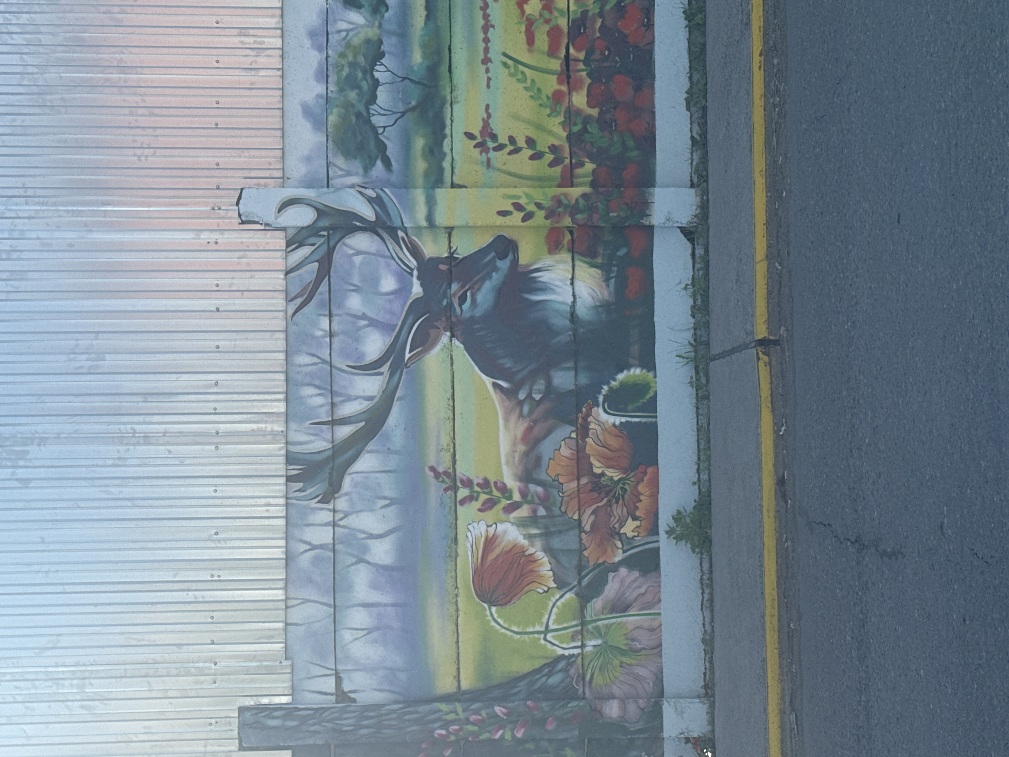 The image shows a mural painted on a wall next to a road. The mural features a deer with large antlers amidst a backdrop of flowers and greenery. Part of the wall is made of corrugated metal siding. A yellow line is visible along the edge of the road. The image is likely taken in a location that features local art and public infrastructure. There is no indication it is located in Chaikovsky, Russia.