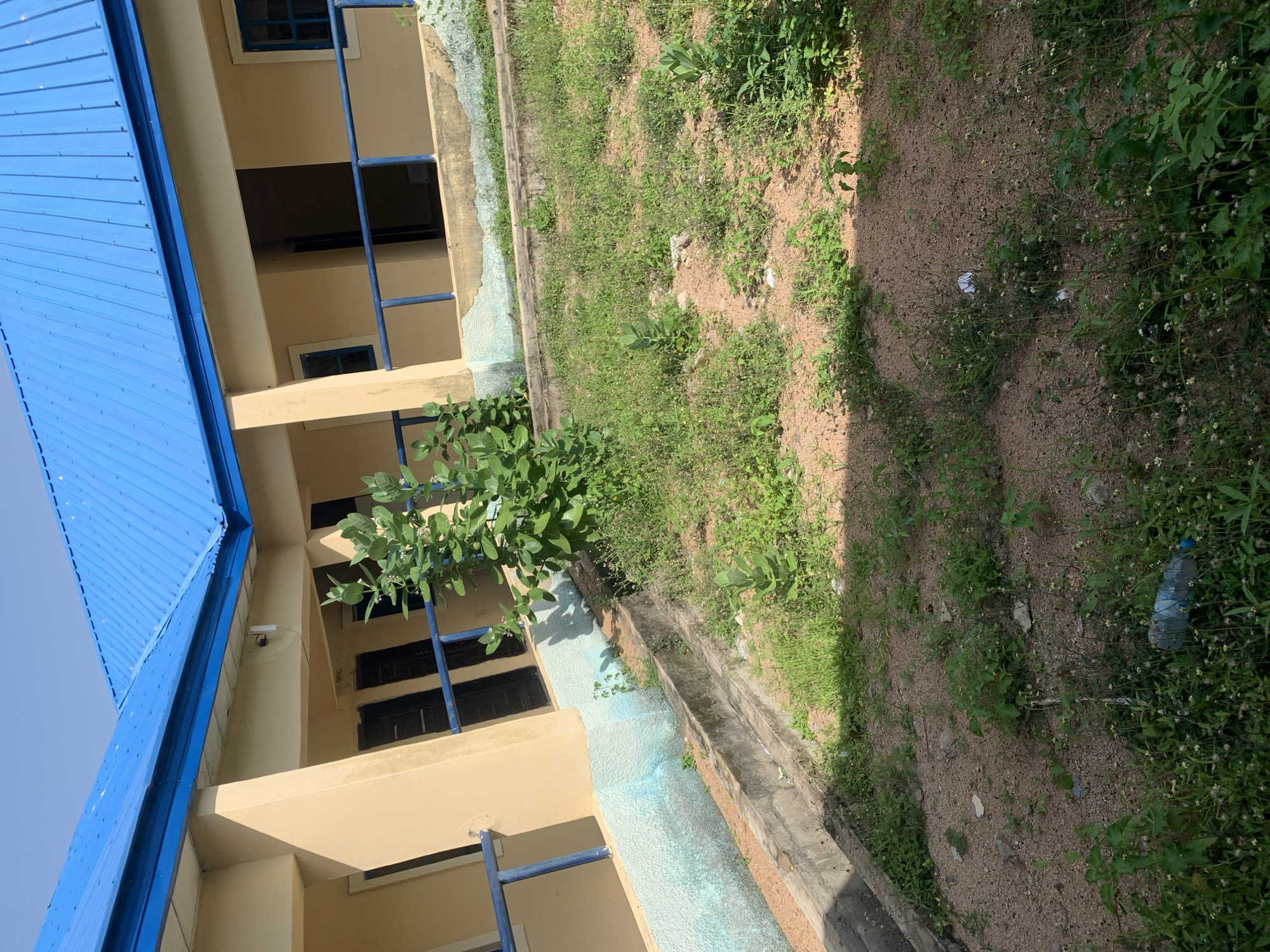 The image depicts an exterior view of a single-story building with a blue corrugated metal roof and beige walls, located in Jalingo, Nigeria. The building has a covered walkway or veranda along its length, supported by beige columns and featuring a blue railing. Several dark-colored doors and windows are visible on the building's facade. The foreground shows an unkempt yard with patchy dry earth, sparse green vegetation, and weeds. A concrete drainage channel runs along the base of the building. In the lower right corner of the image, a discarded plastic water bottle is visible amongst the greenery. The scene appears to be under natural daylight with shadows indicating the sun's position.