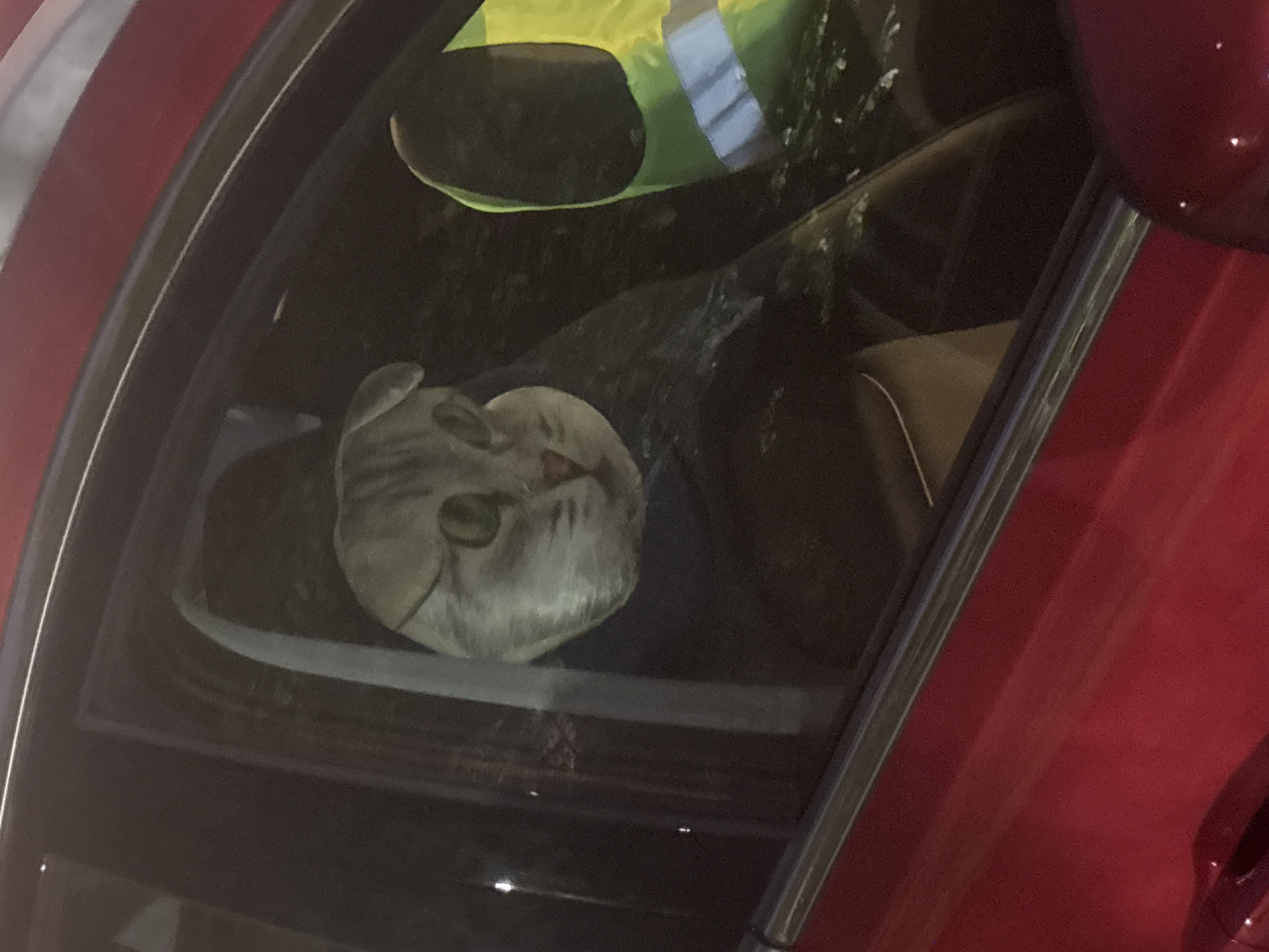 Through the closed window of a red vehicle, there is a pillow that appears to have a face on it. Next to the pillow is a yellow and gray vest.