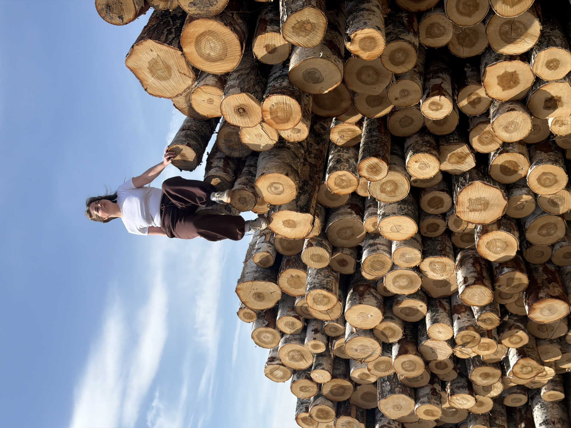 The image shows a woman holding onto a stack of freshly cut logs under a blue sky. The logs appear to be birch, identified by their white bark, and they are neatly stacked, with the cut ends prominently visible. The woman is wearing a white shirt and brown pants. The sky shows faint clouds. The image orientation is rotated, giving the impression of the logs hanging from the sky and the woman holding onto them. The specific location in the city of Ural'skoe, Russia, is not discernible from the image alone.