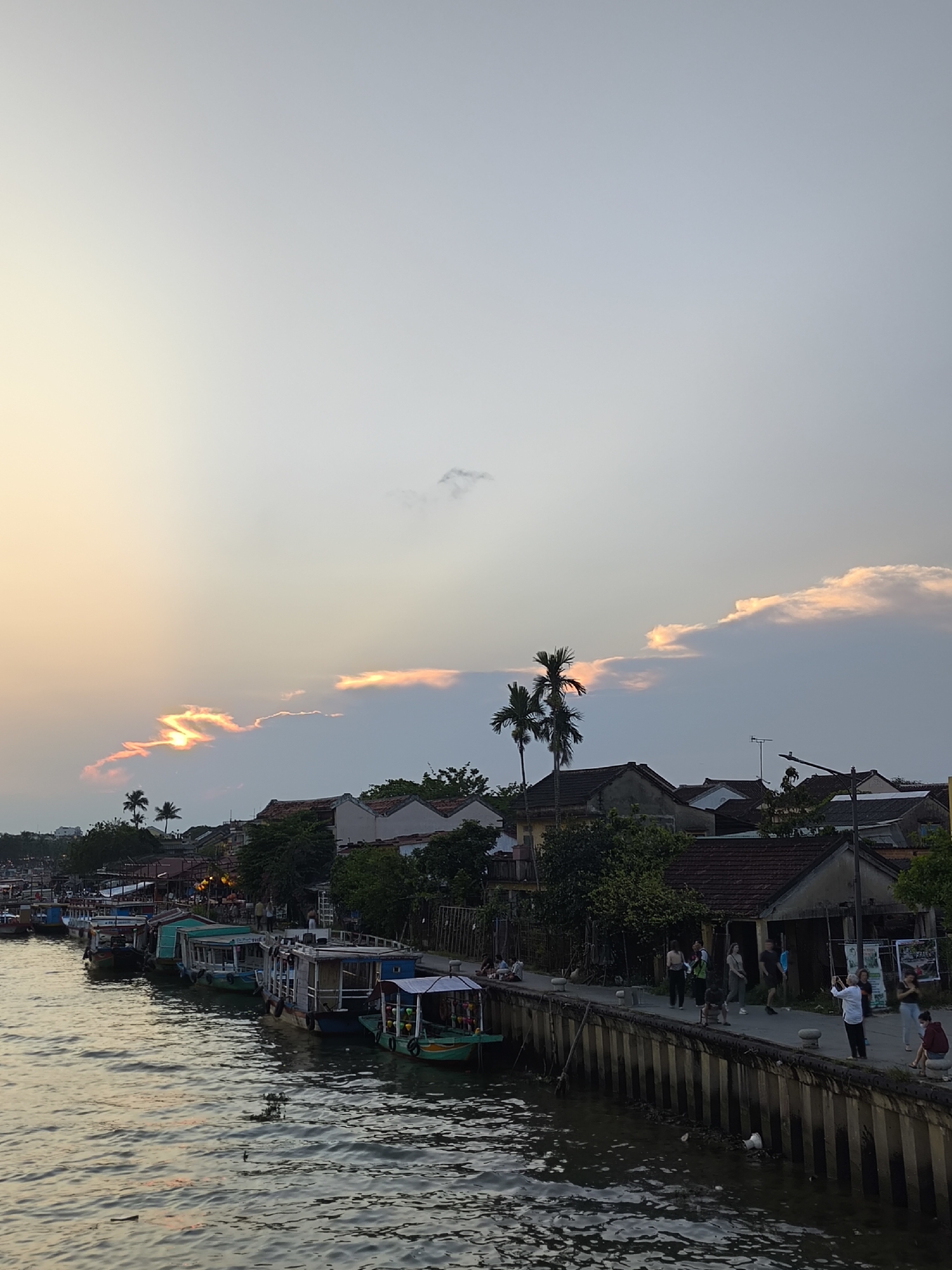 The scene depicts the Thu Bồn River in Hội An Ward, Vietnam, at dusk. The sky transitions from a pale blue-grey at the zenith to warm orange and yellow hues towards the left horizon. A prominent, elongated cloud formation stretches horizontally across the mid-sky, intensely illuminated with bright orange and yellow light from the setting sun, particularly on its left side where it forms a distinct "S"-like pattern.
In the lower half of the image, the dark, rippled surface of the Thu Bồn River reflects the subdued sky light. Along the left bank, a line of traditional wooden boats, some featuring covered canopies and illuminated lights, are moored.
On the right bank, a concrete retaining wall with vertical slats and rounded bollards separates the river from a paved promenade. Behind the promenade, a series of single and two-story buildings with terracotta tiled roofs and lighter-toned facades are visible, interspersed with green trees and dense foliage. Several slender palm trees rise above these structures.
Numerous individuals and small groups are present on the promenade. Actions include walking, standing, and observing the river. One person in a white shirt is holding a mobile phone, potentially capturing a photograph. Closer to the foreground, two individuals are seated on separate rounded bollards; one wears a dark jacket, the other a red shirt. A streetlight and an antenna are discernible on rooftops in the mid-ground. Unidentified debris is visible in the river near the retaining wall.