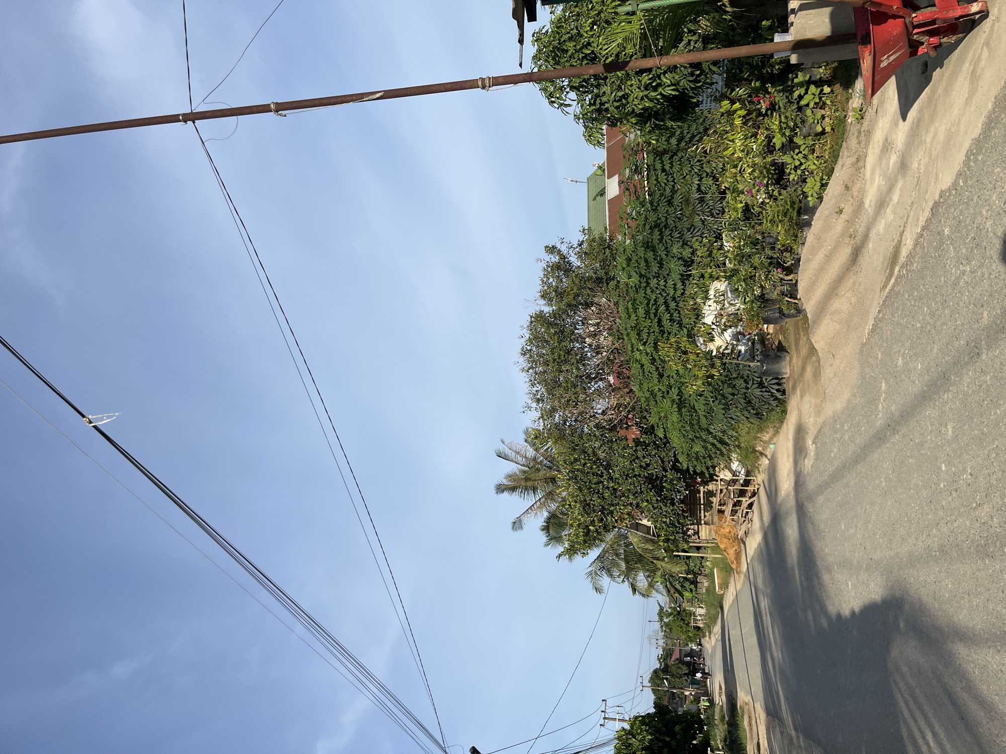 This is a street-level, eye-level, medium shot of a paved road in Landuh, Indonesia, with a clear blue sky overhead. The road stretches into the distance, lined with various trees, plants, and buildings. On the right side of the road, a rusty metal pole stands vertically, supporting overhead wires. A red wheelbarrow is partially visible at the bottom right corner of the image. In the mid-ground, there's a dense collection of potted plants and a small pile of sand. Further down the road, several houses with corrugated metal roofs can be seen, interspersed with lush greenery and palm trees. A single person on a motorbike is visible on the road in the distance. The overall impression is of a rural or semi-rural residential area under bright daylight.