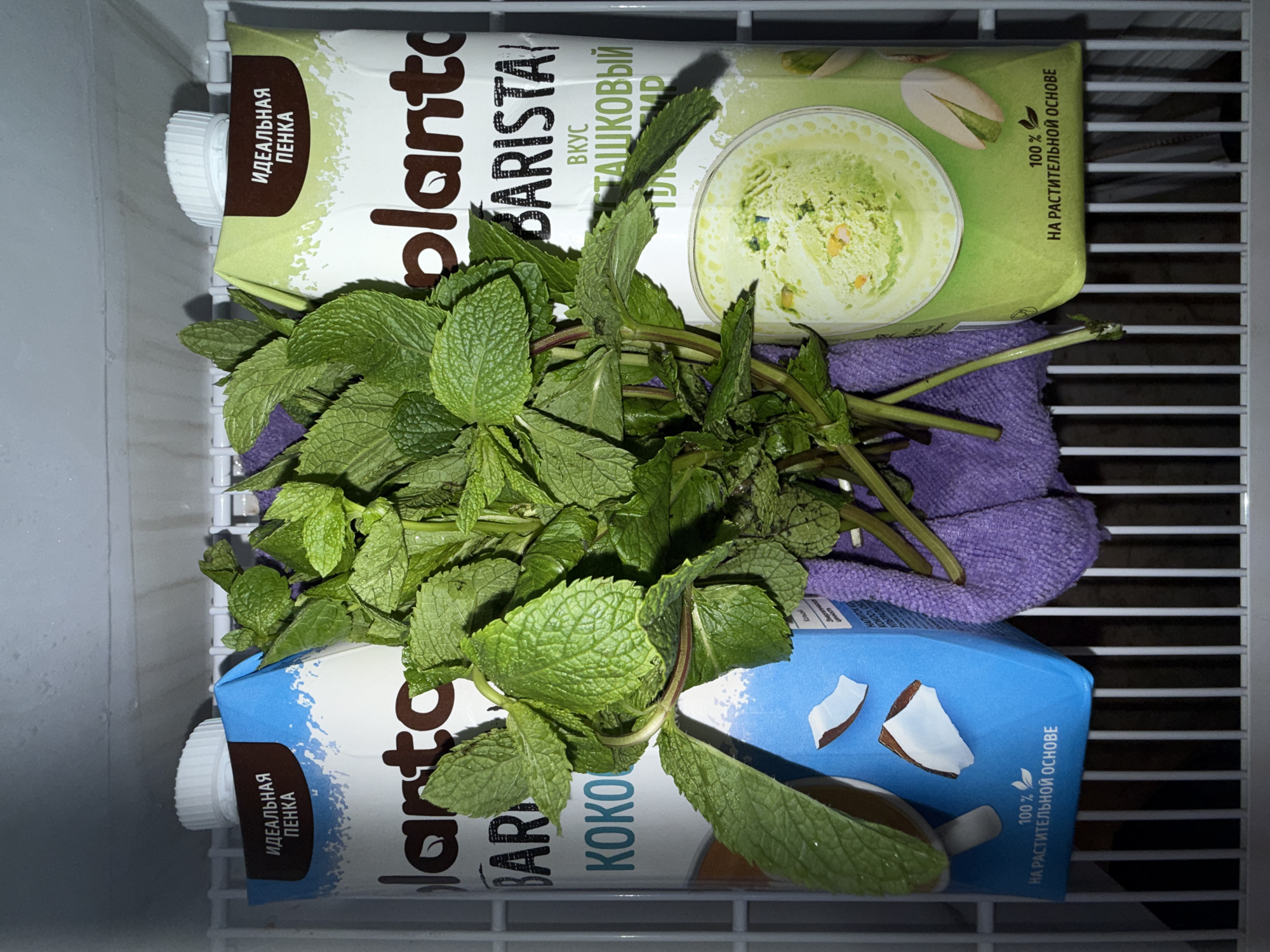 The image shows two cartons of "Planto" plant-based milk placed inside a refrigerator. The cartons are positioned vertically on a wire shelf. The top carton has a green label featuring an image of pistachio ice cream and text in Russian, including "planto BARISTA" and "100% НА РАСТИТЕЛЬНОЙ ОСНОВЕ" (100% on a plant-based foundation). The bottom carton has a blue label with an image of coconut pieces and similar Russian text, including "planto BARISTA KOKO" and "100% НА РАСТИТЕЛЬНОЙ ОСНОВЕ".
A bunch of fresh mint leaves is placed on top of the cartons, partially obscuring the text on the top carton. A small purple cloth is visible beneath the mint leaves, between the two cartons. The interior of the refrigerator is visible, characterized by white plastic walls and a white grid shelf. The lighting suggests an indoor setting, likely a kitchen. The image is taken from a top-down perspective. No people are visible.