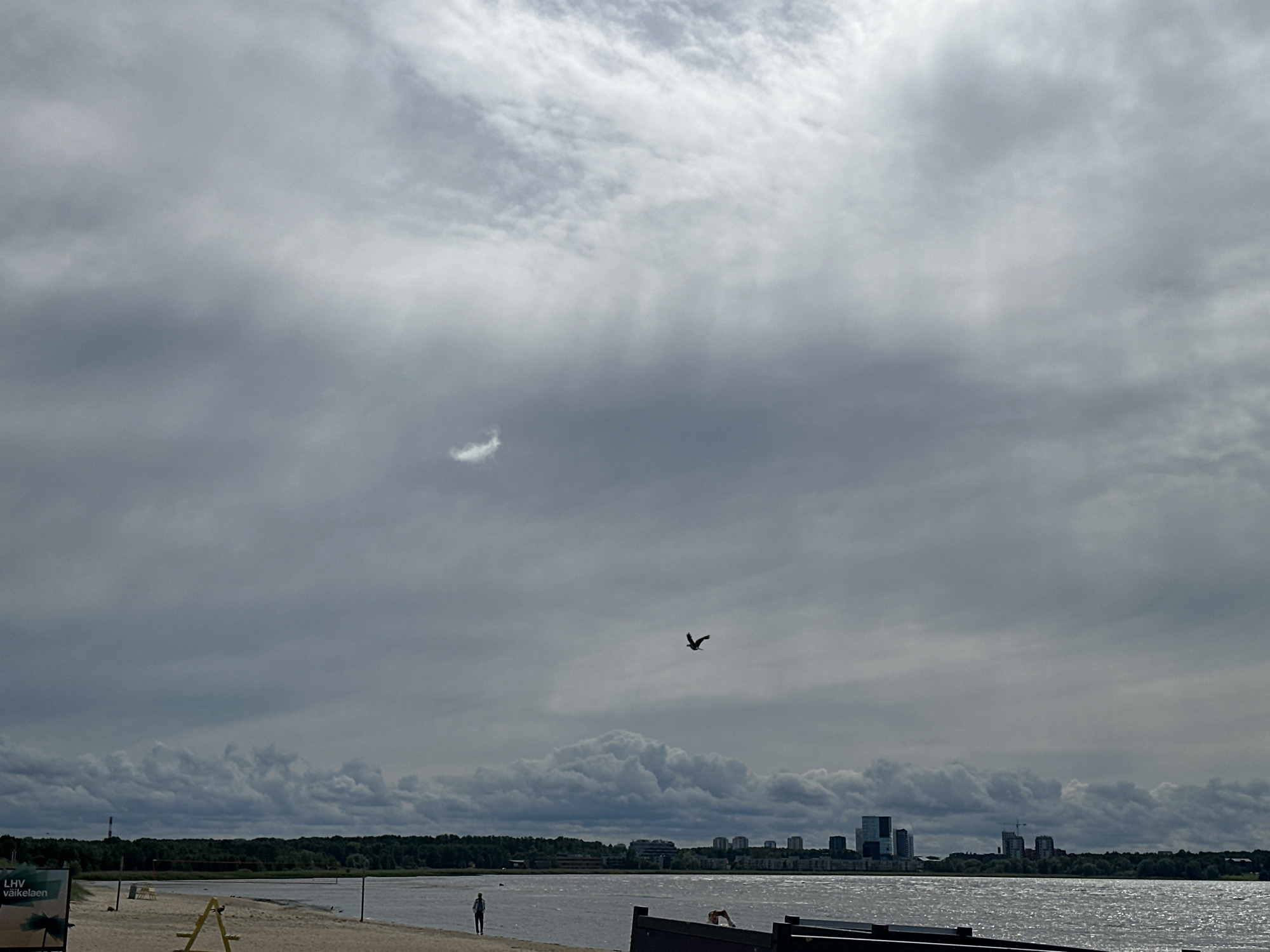 A panoramic, overcast view of the Tallinn Bay from a sandy beach. In the foreground, a sandy beach is visible with a few beach chairs and a dark barrier in the lower right corner. A single person is walking on the beach near the water's edge. In the middle ground, the bay is calm with a distant shoreline featuring a line of trees and a city skyline with several tall buildings. A lone bird is captured in flight in the sky. The sky is filled with thick, gray clouds, with some lighter patches suggesting breaks in the cloud cover.
