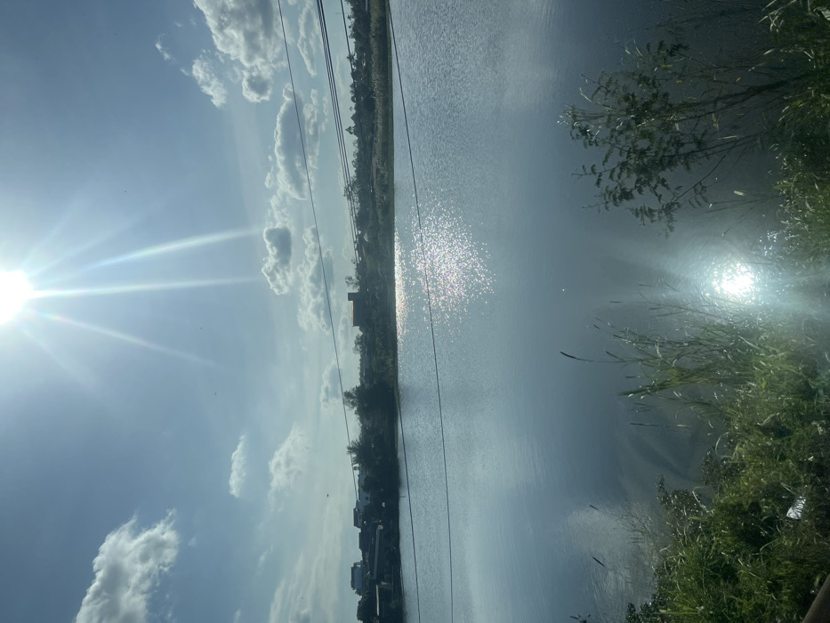 The image depicts a bright, sunny daytime scene overlooking a body of water in Xuân Long, Vietnam. The sky occupies the upper half, a clear light blue with scattered white cumulus clouds. The sun is prominently visible in the upper-center, emitting strong light rays that cause lens flare and significant glare, particularly reflecting off the water's surface in the mid-right.
The foreground consists of a vegetated bank, dense with green grasses, including tall, thin blades and smaller leafy plants. A piece of white debris is visible within the vegetation on the left.
The central and midground are dominated by the still, reflective surface of the water, likely a lake or wide river. The water's surface shows sparkling sun reflections, especially concentrated on the right side.
The background reveals a distant shoreline featuring a mix of structures and vegetation. Residential-style buildings with varied rooflines are visible on the left, while a larger, darker-colored building with a more industrial appearance stands further right. Trees and brush line the horizon behind these structures. Multiple dark power lines stretch horizontally across the frame, positioned above the water and below the distant buildings. No people or animals are discernible.