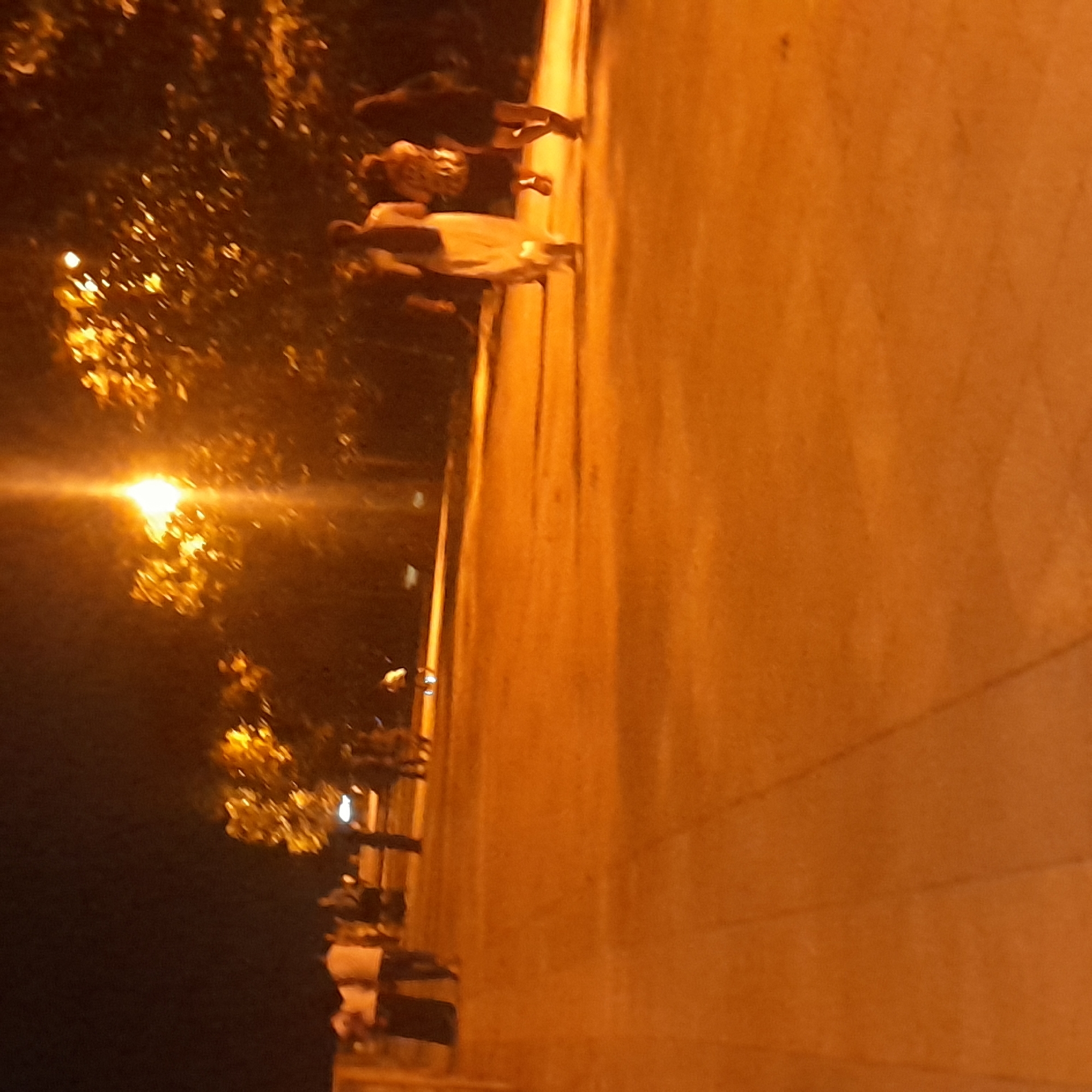 The image depicts a nighttime scene in Astara, Azerbaijan, likely on a promenade or walkway. The lighting is dominated by warm, artificial illumination from streetlights, casting a strong orange glow across the paved surface and highlighting the foliage of trees in the background. Several individuals are visible, primarily as silhouettes or partially illuminated figures.
In the foreground, the pavement appears smooth and level, with some subtle textural variations. To the left, a group of people are standing or walking, their forms indistinct in the low light. One person in this group is wearing a white shirt and dark pants. Further back, a streetlamp with a bright light source illuminates the scene, with its glow diffused by the surrounding leaves of trees.
In the mid-ground, a woman in a long, light-colored dress is walking away from the camera, accompanied by other figures. One person appears to be wearing a patterned top and dark bottoms, while another is dressed in dark clothing. The interactions between these individuals are not discernible.
The background features the dense, dark shapes of trees, their leaves catching the light and creating a dappled effect. The overall atmosphere is calm, suggesting a leisurely evening stroll. The location appears to be a public space, possibly a park or waterfront area, given the presence of trees and a paved walkway. The image captures a moment of everyday life under artificial light, with a focus on the interplay of light and shadow on the subjects and environment.