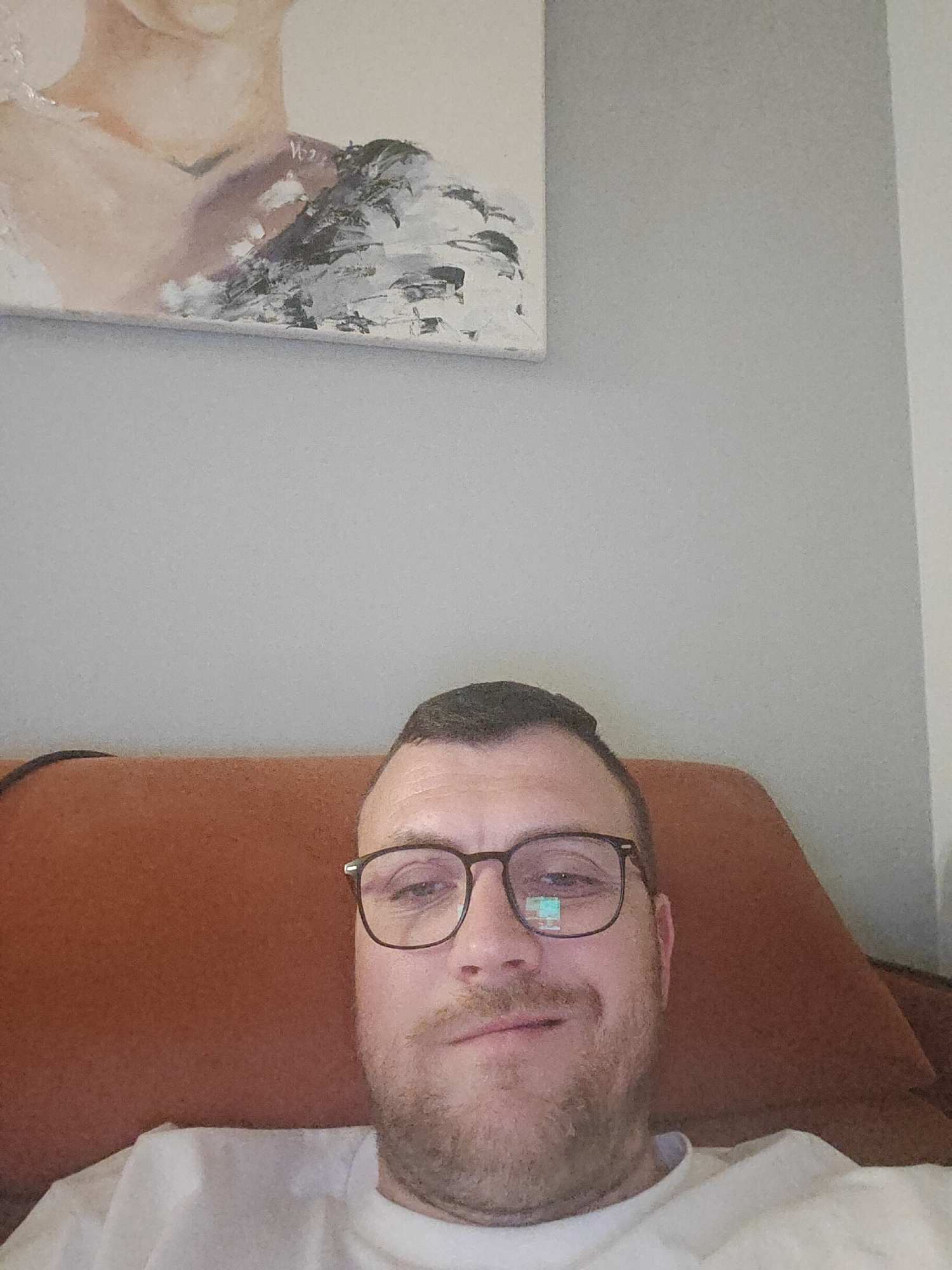 A man with short dark hair, glasses, and a light beard and mustache is sitting on a burnt orange colored couch or recliner. He is wearing a white shirt. A painting depicting a female figure is hanging on the wall above him. The wall is a light gray color. The location in Sofia, Bulgaria, is unknown.