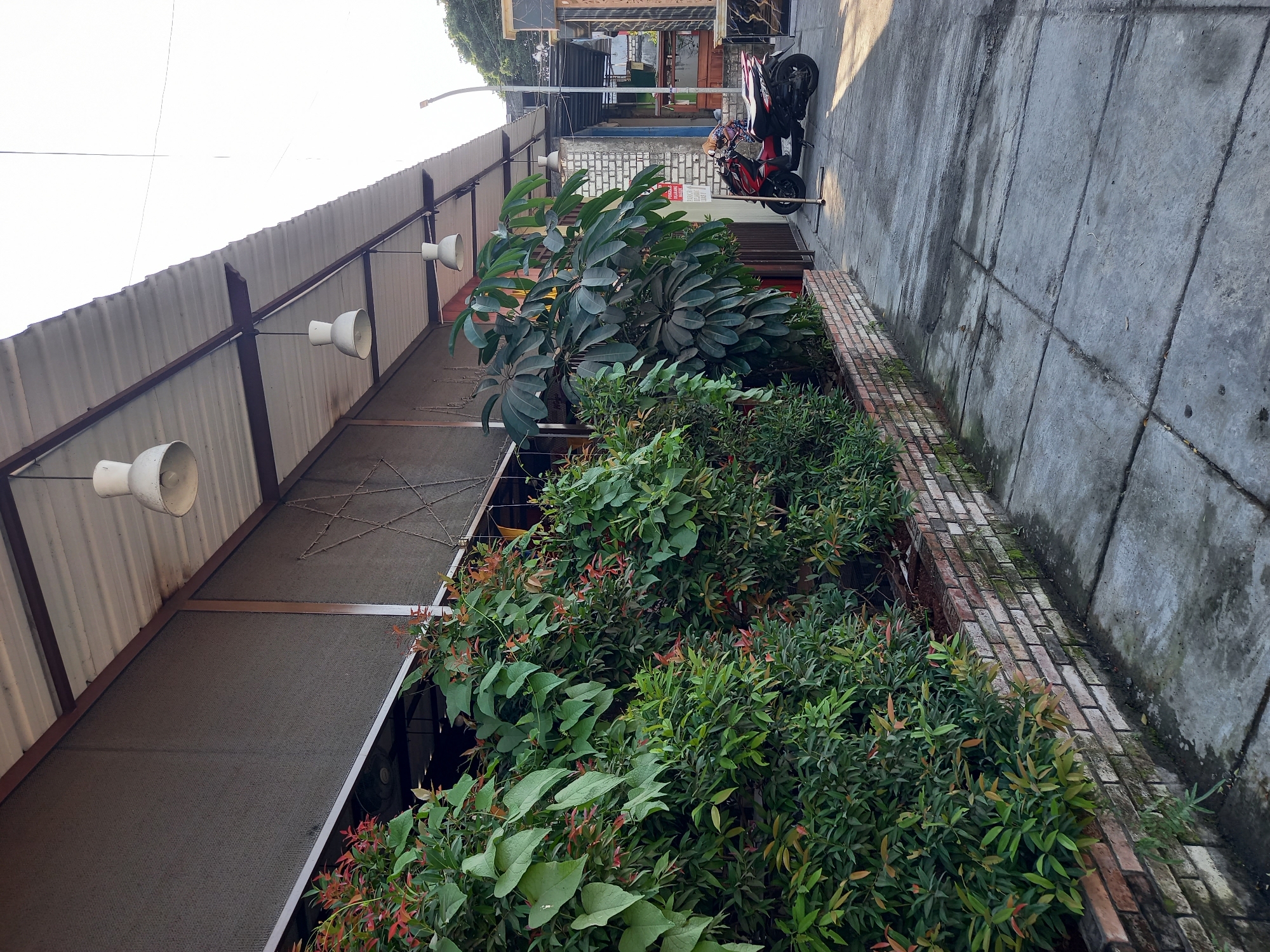 The image shows a walkway and the exterior of a building with an overhang. A red and black motorcycle is parked on the right side of the walkway. A person in a blue hijab is standing near the motorcycle. The building has a corrugated metal roof and a dark fabric covering along the top section. Green foliage lines the left side of the walkway, growing from a brick planter. The walkway is paved with concrete slabs. The scene appears to be outdoors during the day, with sunlight casting shadows. The building is located in Bungah, Indonesia.