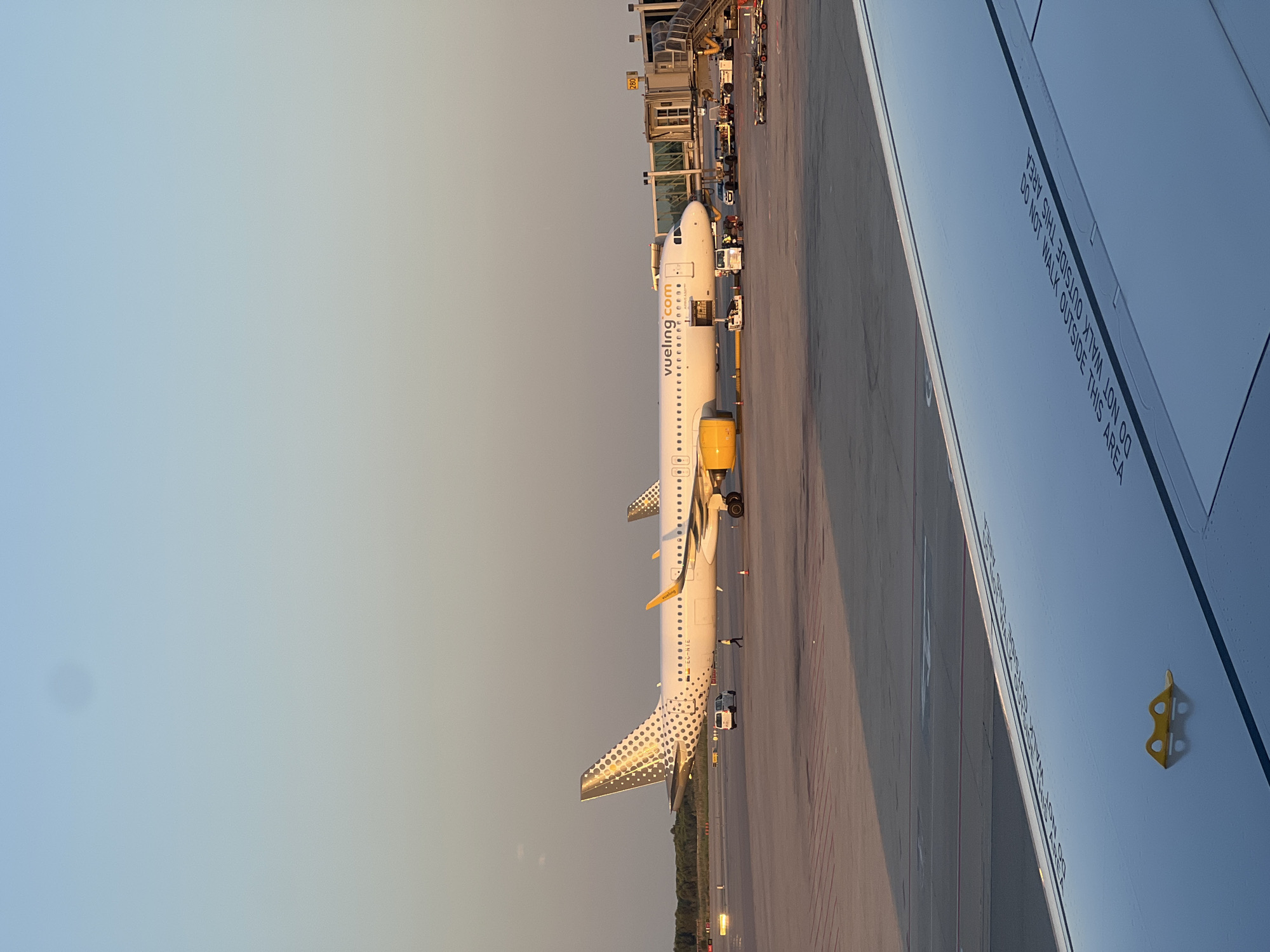 The image shows a Vueling airplane parked at an airport gate in El Prat de Llobregat, Spain. The airplane, with registration EC-NTC, is white with yellow engine nacelles and a patterned tail. The Vueling logo is visible on the fuselage. A jet bridge is connected to the aircraft, and ground crew and service vehicles are present around the plane. The scene takes place on an asphalt tarmac under a clear, pale blue sky, suggesting it is either early morning or late afternoon. In the foreground, a portion of another airplane's wing is visible, showing markings that read "DO NOT WALK OUTSIDE THIS AREA."