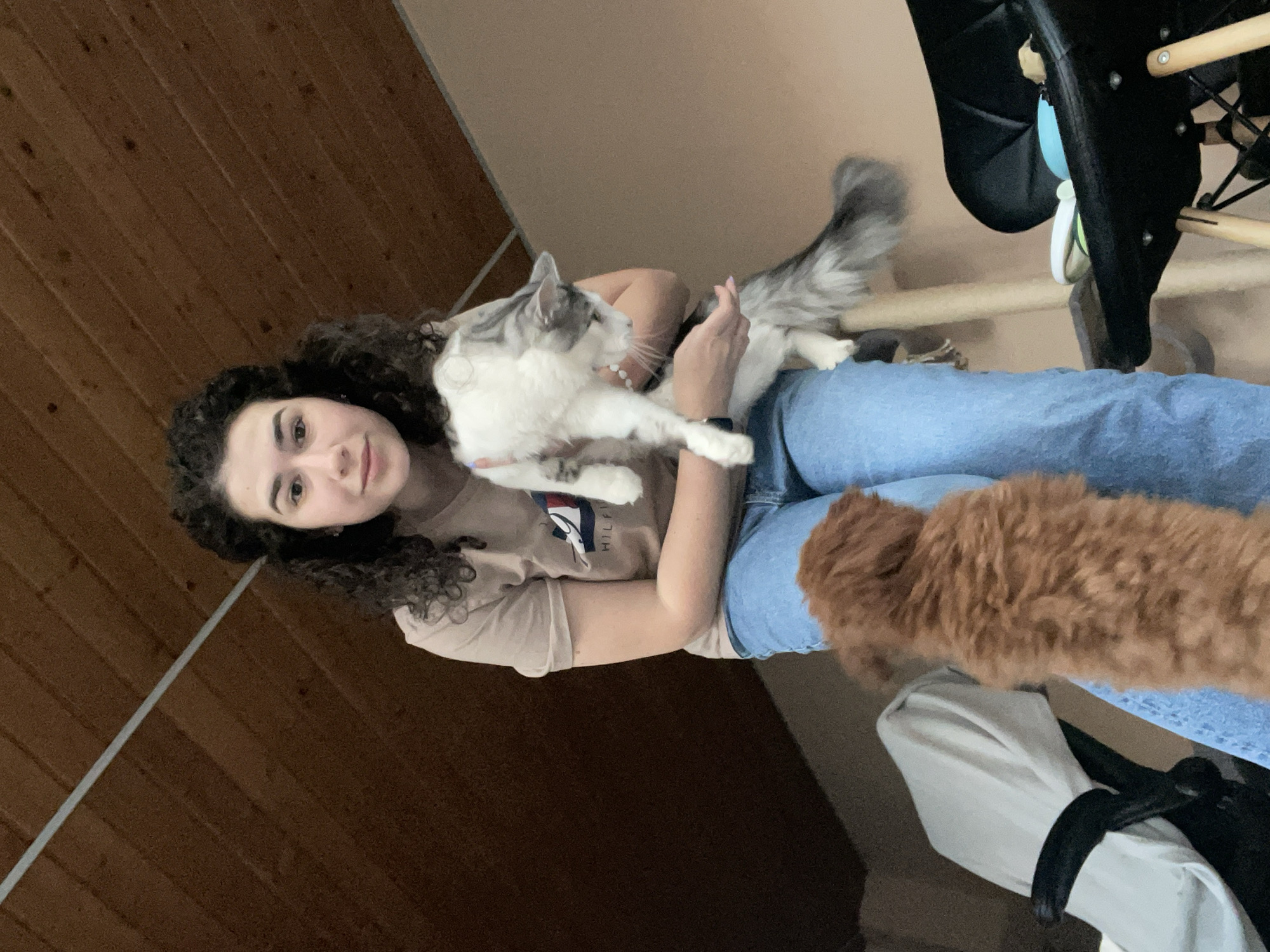 A woman with curly dark hair is holding a white and grey cat in her lap while sitting in a chair. An orange-brown dog is also visible near her legs. She is wearing a beige t-shirt with a logo on it and blue jeans. A black chair is partially visible in the background. The background includes wood paneling on one wall and beige paint on another. There is no information to determine if this location is in Sofia, Bulgaria.