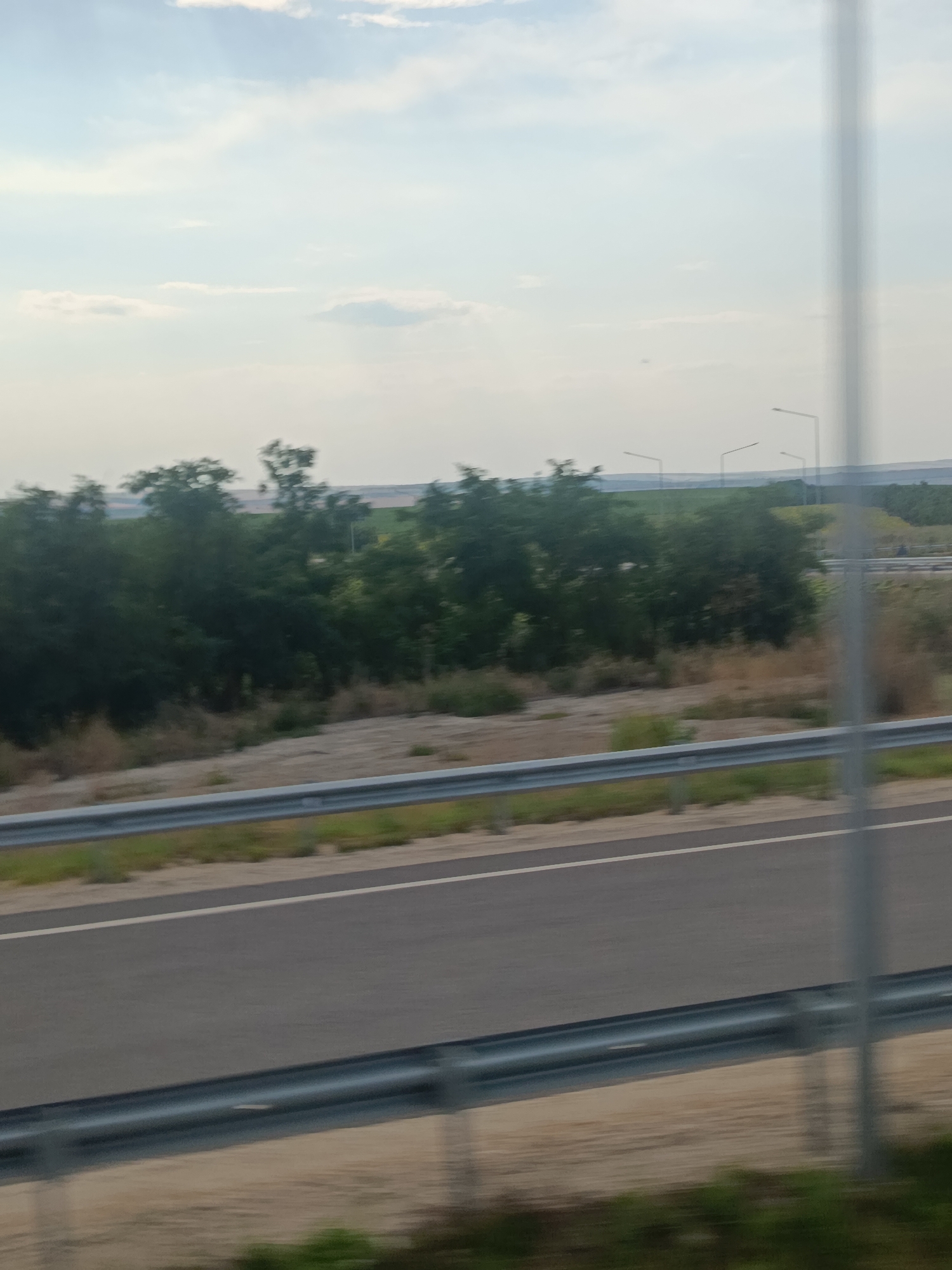 The image shows a roadside scene in Comrat, Moldova, with a highway in the foreground. The road is asphalt, with a white line marking the lane. A metal guardrail runs along the side of the road. Beyond the guardrail, there is a strip of dry grass and some scattered bushes. Further in the background, a line of green trees is visible, with some of them appearing taller and denser than others. In the distance, there are agricultural fields, some of which are green, and others appear to be harvested. Several lampposts are spaced along the side of the highway. The sky is partly cloudy with a pale blue hue. The overall impression is a rural or semi-rural setting, likely on the outskirts of Comrat.