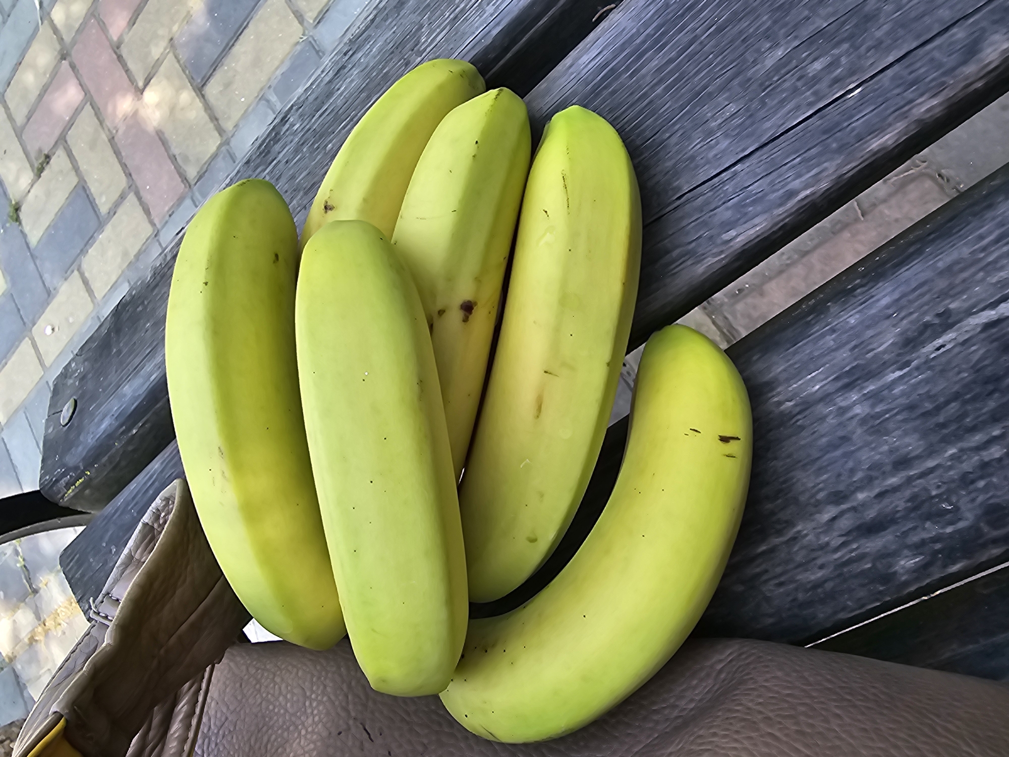 A bunch of bright green bananas is artfully arranged on a dark wooden bench, their curved forms creating a visually appealing display. The bananas are mostly uniform in color, with a few scattered brown spots adding character and suggesting they are nearing ripeness. The bench itself is made of weathered wooden planks, with visible grain and texture, indicating it has seen better days, possibly outdoors.
To the left of the bench, a section of a paved walkway is visible, composed of rectangular bricks laid in a herringbone pattern. The bricks are a mix of colors, including pale yellow, pinkish-red, and gray, suggesting a sunny environment where light and shadow play across the surface. The pathway appears to be made of concrete or stone pavers.
In the lower left corner, a portion of a brown leather surface is visible, possibly part of a bag or furniture, its textured grain adding another layer of visual interest. The overall lighting suggests it is daytime, with a bright, natural light illuminating the scene. The setting appears to be outdoors, perhaps a park, a public seating area, or a garden, given the bench and the paved walkway. There is no visible text in the image. The arrangement of the bananas, the textures of the bench and walkway, and the play of light create a simple yet engaging still life.