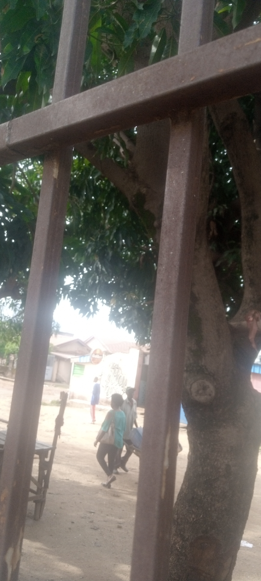 The scene, likely in Sabon Tasha, Nigeria, is viewed through a metal gate. A large tree with dense foliage occupies the right side. A partially visible building with signage stands in the background. Several people are present: one wearing a blue shirt and reddish pants is visible in the distance. Two individuals, one in a light blue top and one in a light shirt, walk together on the sandy ground. A simple wooden bench is positioned to the left.