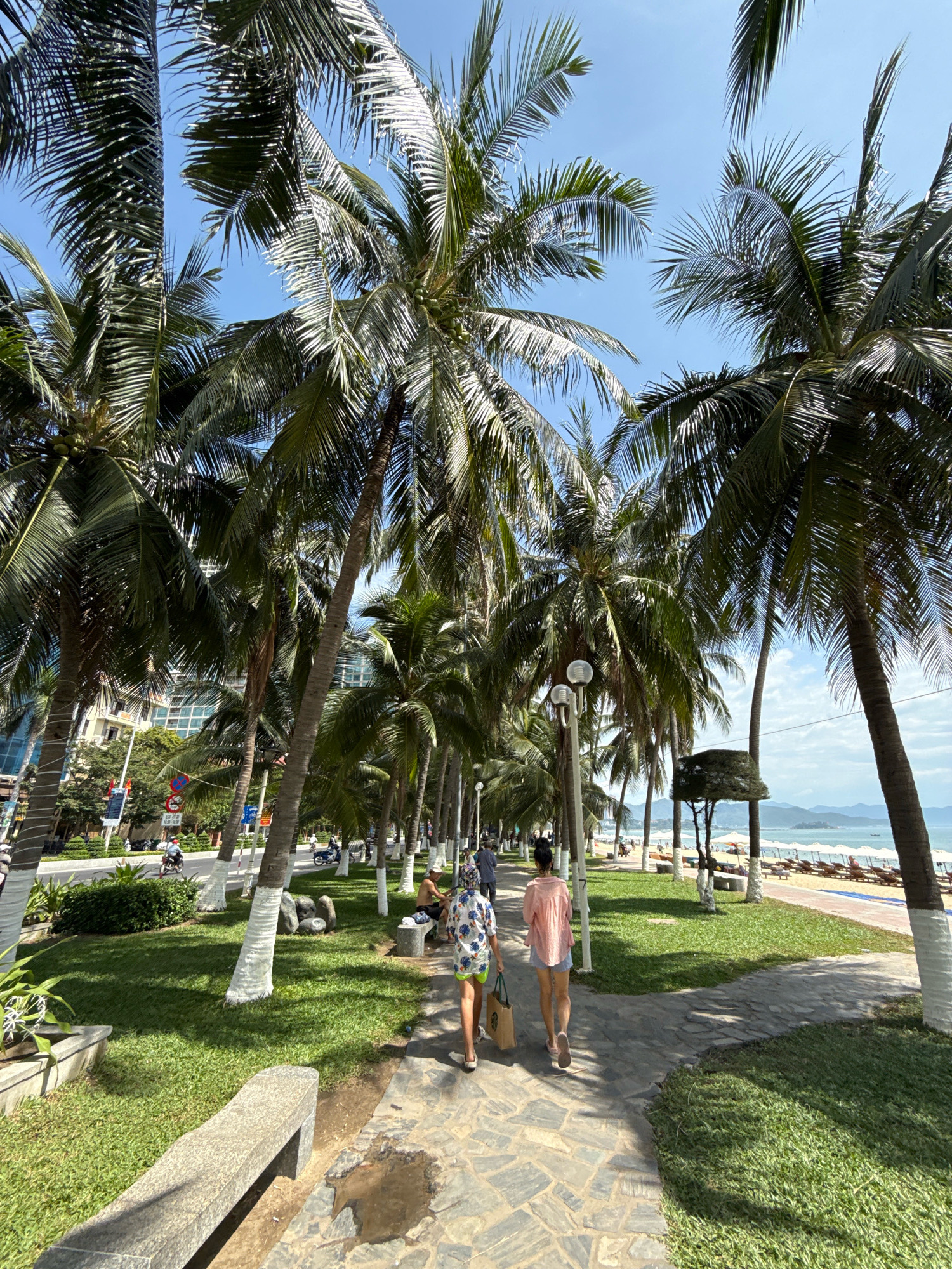 The image depicts a scenic promenade lined with numerous palm trees, likely located along the coastline of Nha Trang, Vietnam. The pathway, paved with irregular stone tiles, is bordered by a well-maintained grassy area on the left and a beach with lounge chairs and umbrellas on the right. Several individuals are present, walking along the path and enjoying the sunny day. In the foreground, two people are walking away from the camera, one wearing a patterned shirt and shorts, carrying a shopping bag, and the other in a pink shirt and shorts. Further down the path, another person is seated on a bench. In the background, there is a road with some traffic, including motorcycles, and modern buildings are visible beyond the trees. The ocean is in the distance, with hills or islands on the horizon under a clear blue sky. The trunks of many palm trees are painted white at the bottom, a common practice for aesthetic and pest control reasons. The overall atmosphere is one of a relaxing, tropical vacation destination.