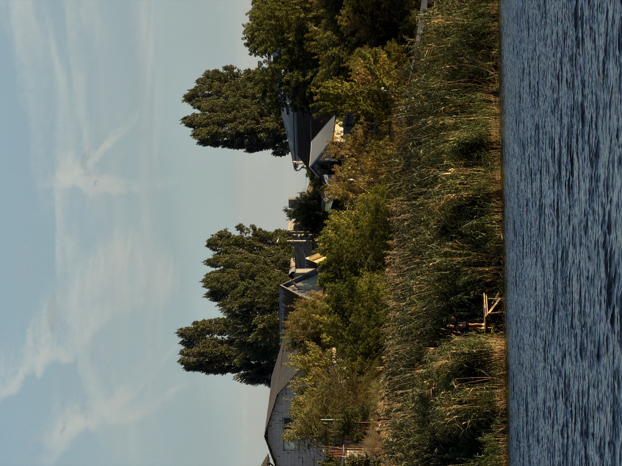 The image depicts a tranquil scene along the Volga River in Kamyshin, Russia, during daylight hours under a partly cloudy sky. In the foreground, the dark blue water exhibits gentle ripples. The middle ground is dominated by a dense thicket of tall, dry reeds and grasses that line the riverbank, interspersed with green and yellow foliage from trees. A small, weathered wooden pier juts out from the reeds, with a solitary figure, likely a child wearing dark clothing, standing on it. Further inland, several low-rise buildings with grey and tiled roofs are visible, partially obscured by lush green trees. The architecture suggests a residential or possibly a small industrial area on the outskirts of the city. The sky is a pale blue with wispy white clouds, one of which appears to be a contrail, indicating recent air traffic. The overall impression is one of a peaceful, rural or suburban setting on the edge of a major Russian waterway.