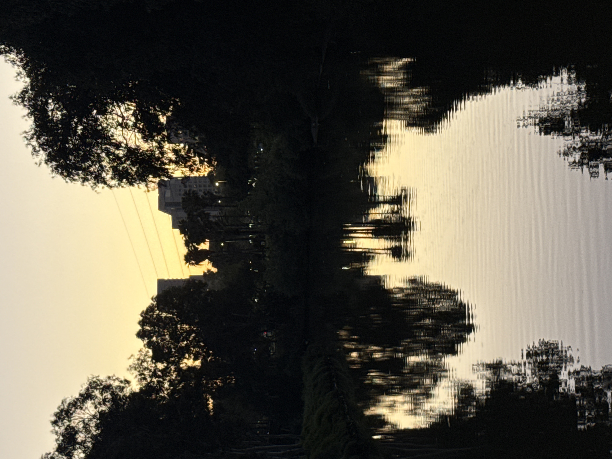 The image presents a serene urban landscape captured during either sunrise or sunset, characterized by stark silhouettes and vibrant reflections. The scene is bisected by a calm body of water mirroring the sky and its surroundings.
In the upper section, a soft, diffused sky displays a gradient of light, transitioning from a warm yellow on the left to a pale grey on the right, indicative of the golden hour. Faint, dark lines, possibly power lines, are visible against the lighter sky on the left.
The left side of the composition features a dark, dense mass of tree foliage, silhouetted against the bright sky. Behind and above these trees, the angular forms of urban buildings are visible, their architectural details largely obscured by shadow.
The lower half of the image is dominated by a placid body of water that acts as a perfect mirror. It vividly reflects the light of the sky, showing similar bands of warm yellow and light grey. The dark silhouettes of the trees and buildings from the opposite bank are also reflected, appearing as elongated, slightly distorted patterns on the water's surface due to subtle ripples. This creates a striking, almost abstract, visual symmetry with the land above the water.
The overall atmosphere is one of tranquility and contemplation, highlighting the interplay of natural light and shadow in an urban setting. There are no individuals or activities taking place, and no visible text. The scene depicts a peaceful moment within an urban environment, likely in Tel-Aviv, Israel, as per the provided context.