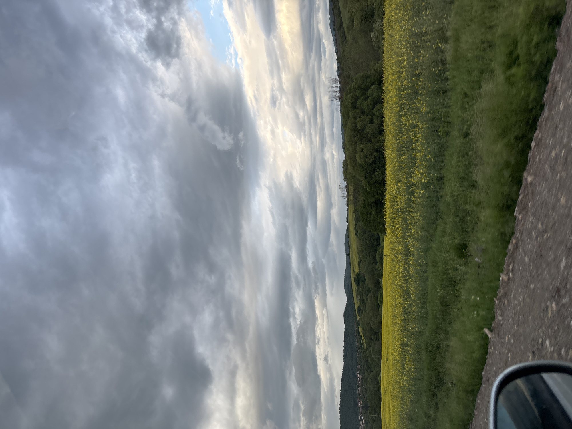 The image shows a landscape with a dramatic sky filled with grey and white clouds. The right side of the image depicts a field of yellow flowers alongside a road with a car's side mirror visible in the lower right corner. A line of trees and possibly buildings can be seen further off, along the horizon. The location may be Baylovo, Bulgaria. There are no people visible in the image. The image appears to be taken from inside a moving vehicle.