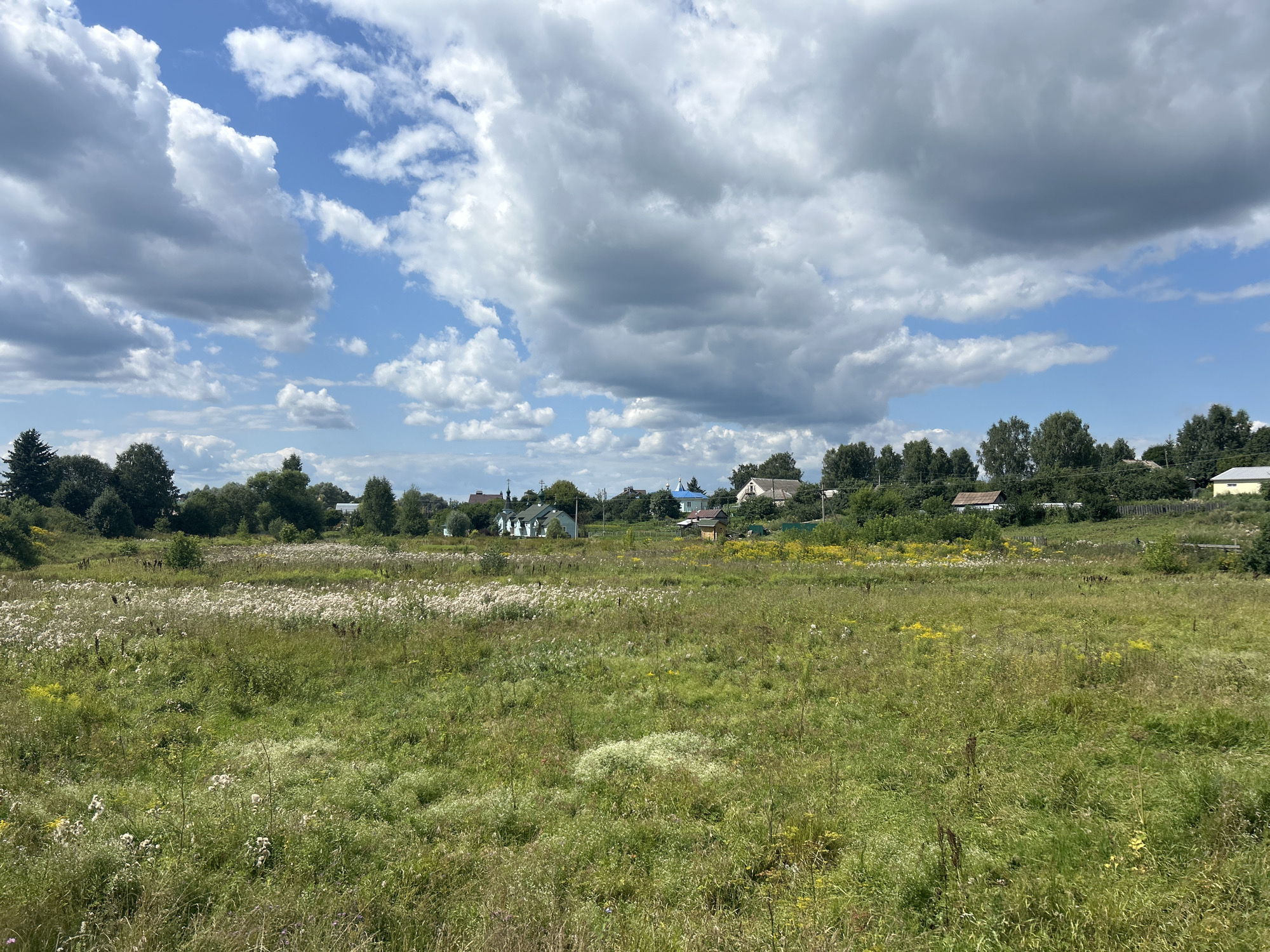 The image depicts a rural landscape on a partly cloudy day, characteristic of the area around Diveyevo, Russia. A vast, uncultivated field of green and white wildflowers dominates the foreground, with tall grass and scattered flowering plants. In the midground, a line of trees separates the field from a small village. The village consists of several houses, including what appears to be a church with a blue dome and white walls, and other residential buildings. The sky is a bright blue with large, fluffy white and gray clouds. The overall impression is one of a tranquil, bucolic scene in the Russian countryside.