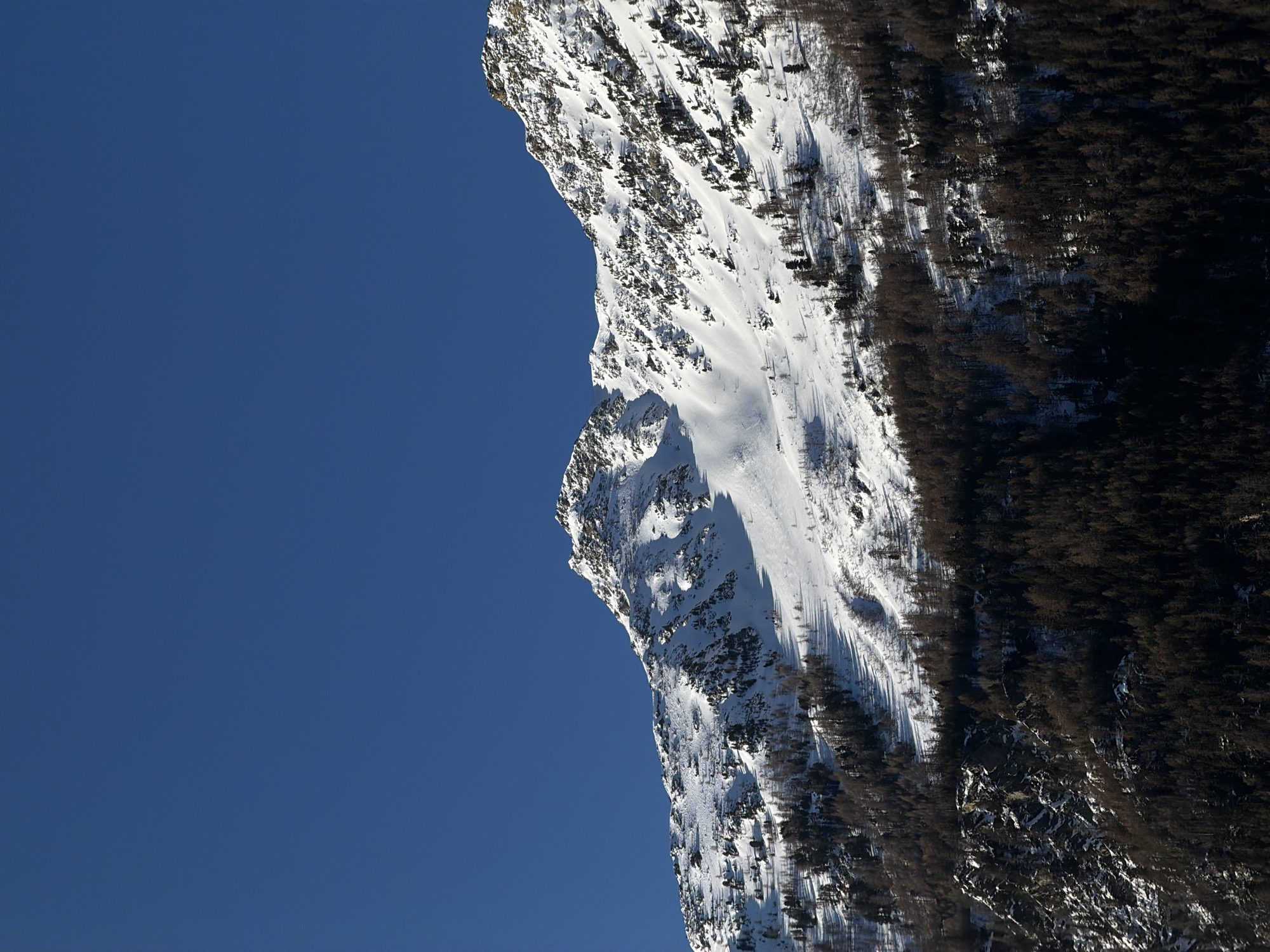 The image shows a steep, snow-covered mountainside against a clear blue sky. Patches of trees grow on the slopes, some areas densely forested and others more sparse. The mountainside is heavily shadowed with some areas completely in the dark. The image orientation suggests it was taken with the camera rotated.
Without further context, it's not possible to confirm if this is specifically located in the city of Saint-André, France. However, it depicts a mountainous landscape, which is consistent with the alpine region where Saint-André is located.