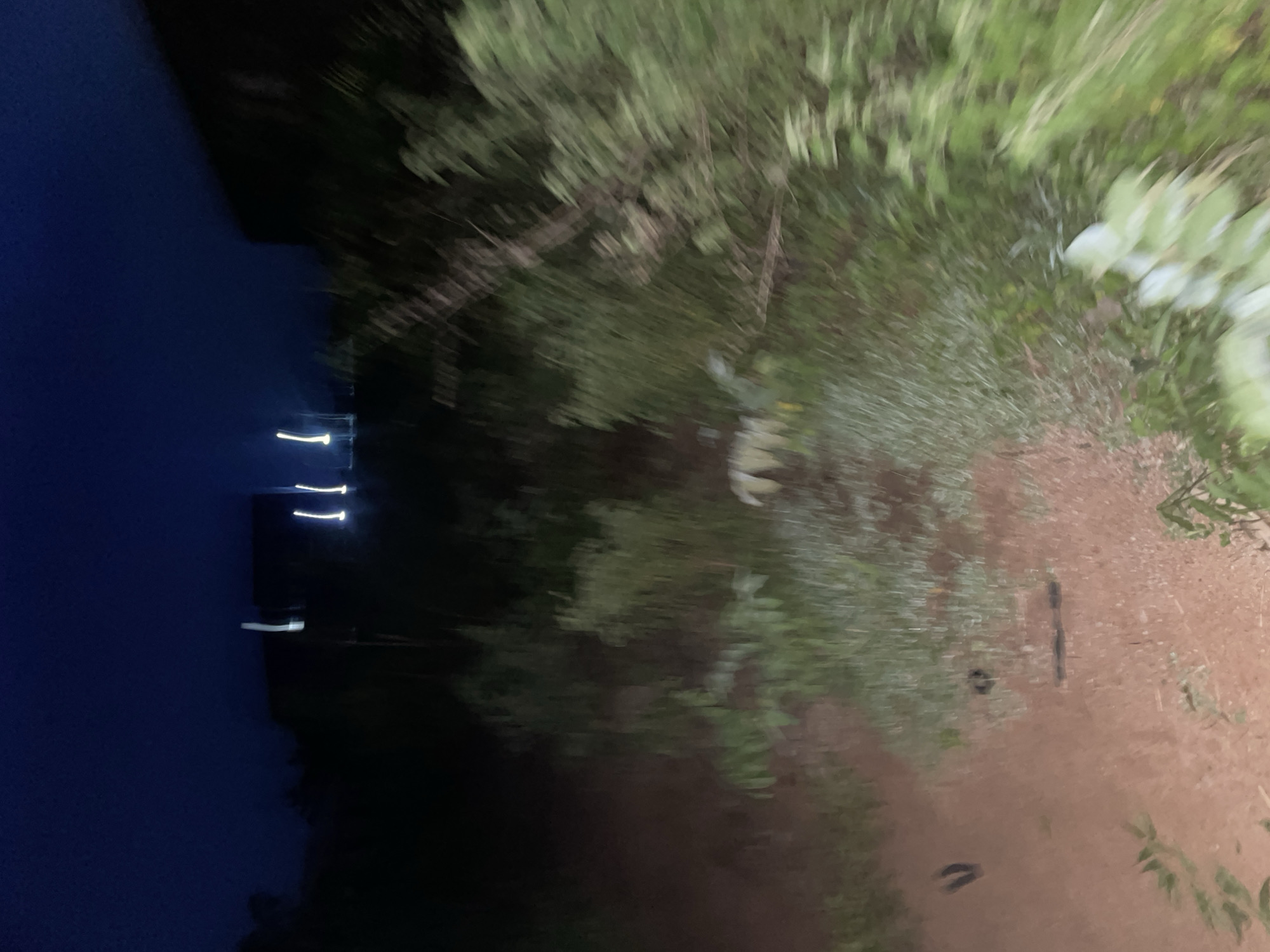 The image depicts an outdoor scene at night in what is stated to be Safari, Nigeria. The lighting suggests artificial light sources from a distance, possibly buildings or streetlights, creating blurred streaks of light in the dark sky. The foreground is dominated by vegetation, including tall grasses and shrubs, which appear blurred due to motion or low light conditions. A dirt path or ground is visible in the lower portion of the image. There are indistinct shapes within the vegetation that could potentially be objects or animals, but they are not clearly identifiable due to the image quality. The overall impression is one of a dimly lit, natural or semi-natural environment at night.