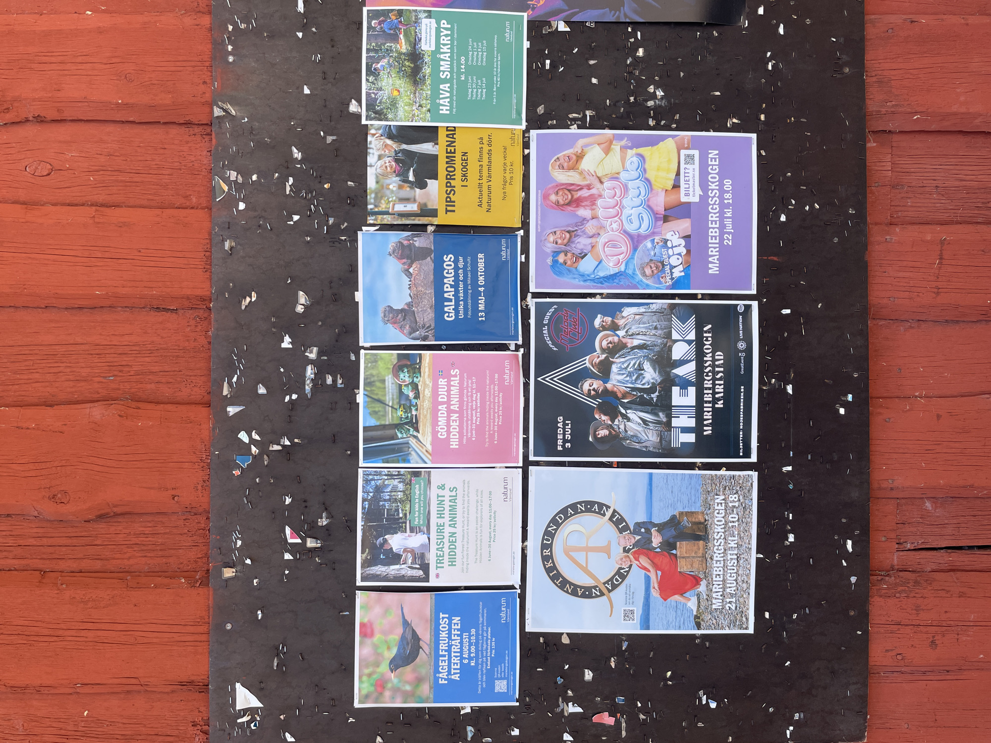 The image shows a bulletin board attached to a weathered red wooden wall. The bulletin board is covered with numerous flyers and posters advertising various events. The posters are arranged in rows, with some overlapping.
In the upper row of posters, from left to right:
1. A flyer titled "Fågel frukost återträffen" (Bird breakfast reunion) with an image of a blackbird. It advertises an event on August 6th, from 9:00 to 10:30.
2. A poster titled "Treasure Hunt & Hidden Animals" with an image of a girl looking at a map and a forest. It mentions the event runs from June 6th to August 30th.
3. A poster titled "Gömda djur hidden animals" (Hidden animals) with an image of two iguanas. It advertises an event from June 6th to August 31st.
4. A poster titled "Galapagos" with an image of two iguanas on rocks. It advertises an exhibition from May 13th to October 4th.
5. A yellow poster titled "Tipsspromenad i skogen" (Tip walk in the forest) with an image of two women walking in a park. It advertises a themed walk.
6. A poster titled "Håva småkryp" (Catch small creatures) with an image of children in a forest environment. It lists event dates in June and July and a price for children under 10.
In the lower row of posters, from left to right:
1. A poster titled "Antikrundan" with an image of a couple sitting by a body of water. It advertises an event at Mariebergsskogen on August 21st, from 10:00 to 18:00.
2. A poster for an event at Mariebergsskogen on July 22nd at 18:00, featuring a musical group called "Dolly Style." There is a special guest appearance by "Möjje."
3. A poster for an event at Mariebergsskogen on July 22nd at 18:00, advertising the band "The Ark."
The bulletin board is sparsely populated with what appear to be staples and torn remnants of old notices. The red wooden wall behind the bulletin board shows signs of age and wear, with visible grain and some chipping paint. The overall impression is of an outdoor public notice board in a natural setting, likely a park or recreational area. Mariebergsskogen is a well-known park and museum area located in Karlstad, Sweden.
