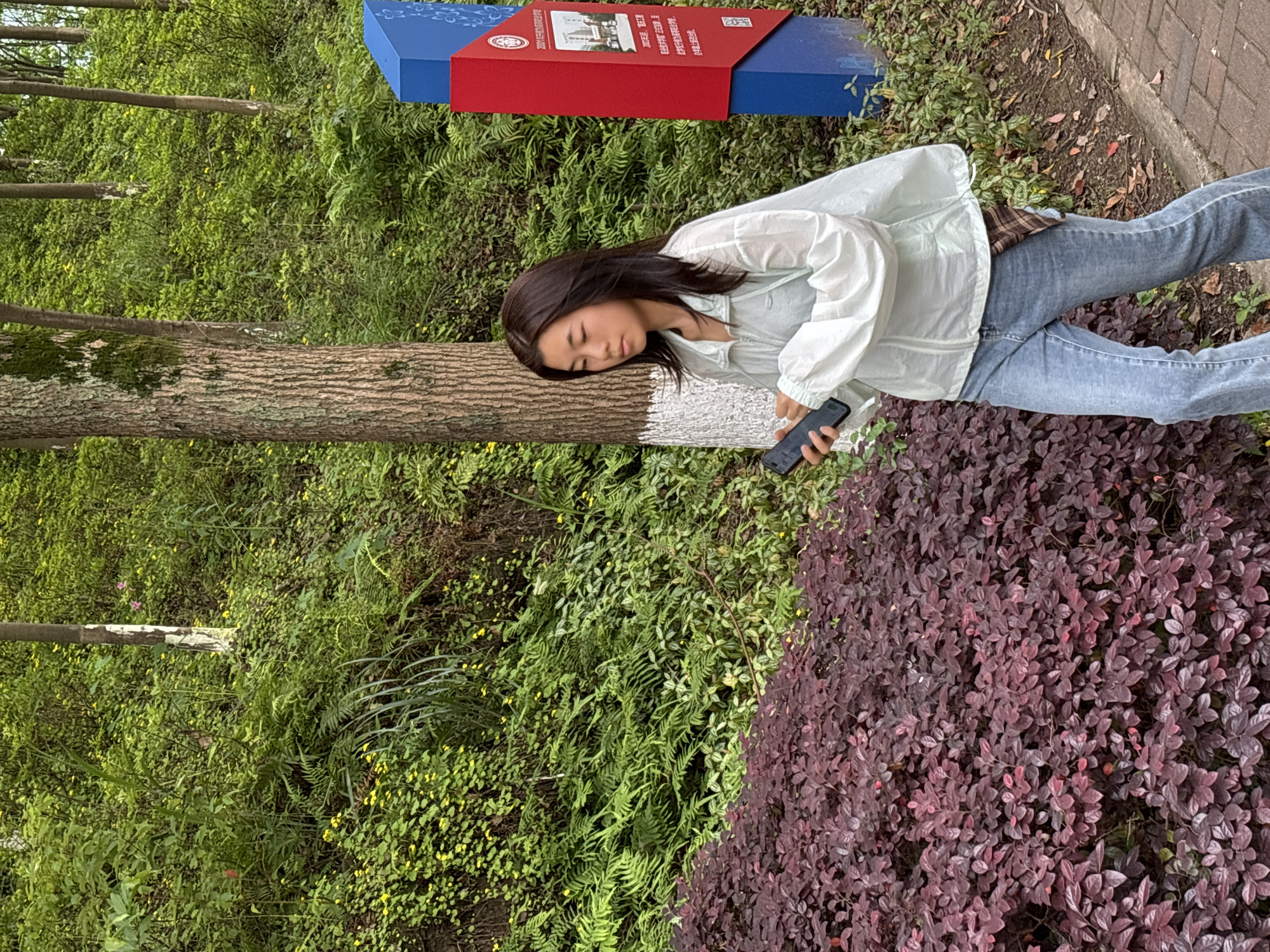 A young woman in a light-colored blouse and blue jeans is reclining against a tree trunk. She is holding a smartphone in her right hand. The tree has white paint partially covering its trunk. Behind her and to the side is a dense collection of foliage including green ferns and reddish-purple bushes. Behind the tree is a green area with small yellow flowers. In the upper-left of the frame, partially obscured by foliage, is a red and blue sign with writing in Chinese. The location is Jiangjin, China.