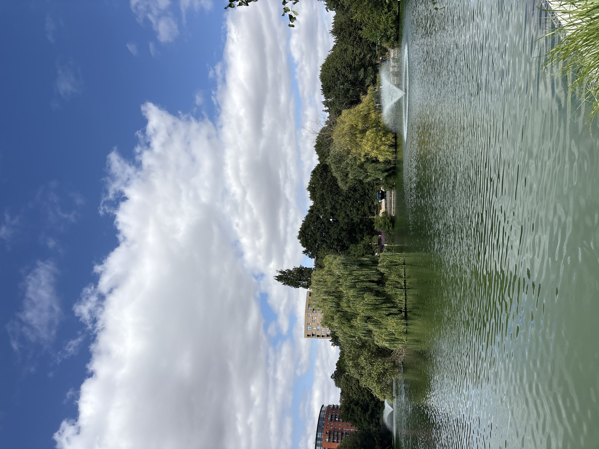 A wide-angle, eye-level photograph captures a serene lake scene in Chelmsford, United Kingdom, under a partly cloudy blue sky. The foreground is dominated by the tranquil, rippling surface of the lake, reflecting the sky and surrounding greenery. In the mid-ground, a densely wooded island is populated by a large weeping willow tree, its pendulous branches creating a dramatic focal point. To the left and right of the island, water fountains are active, sending sprays of water into the air, suggesting a park or public garden setting.
Behind the trees and the island, modern residential buildings rise above the natural landscape. On the left, a curved brick building with multiple balconies is visible, and further back, a taller, rectangular building with light-colored cladding and numerous windows stands out. The treeline encircles the lake, comprised of a mix of deciduous and evergreen trees in various shades of green. The sky is a vibrant blue, punctuated by large, fluffy white and grey clouds, indicating a dynamic weather pattern. Some blades of tall green grass are visible in the bottom right corner of the frame, hinting at the edge of the park. The overall impression is one of a peaceful urban oasis.
