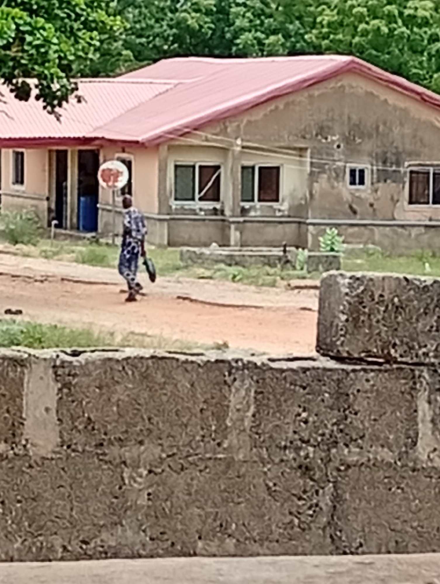 The image shows a man walking on a dirt road in Adankolo, Nigeria, in front of a single-story house with a pink roof. The house has several windows, some with dark frames, and a round sign visible on the porch. A blue barrel sits near the house entrance. The man is wearing patterned clothing and carrying something in his hand. A low concrete wall is visible in the foreground, partially obscuring the view. Trees are present in the background. The overall scene appears to be a residential area.
