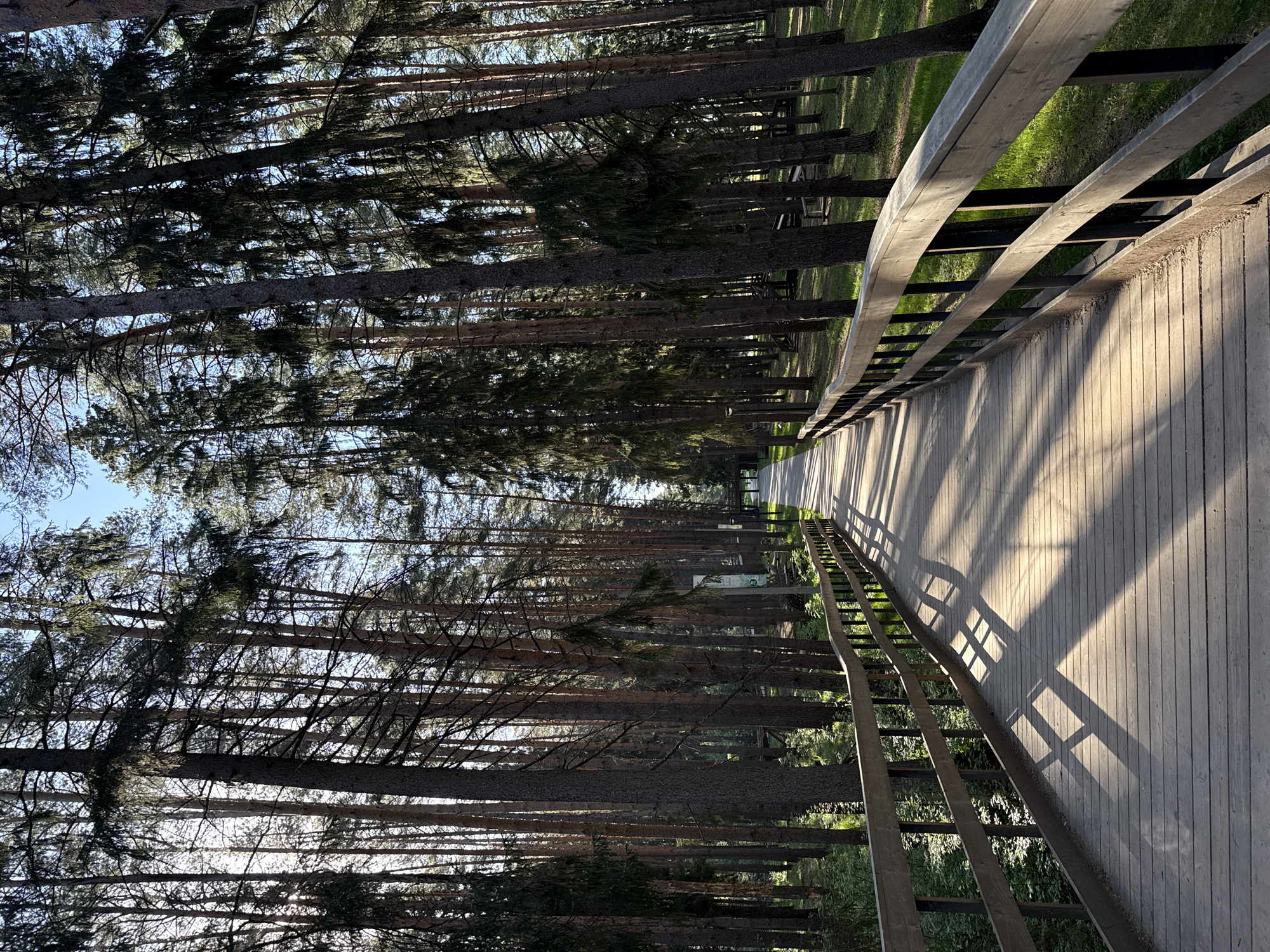 A wooden boardwalk, lined with railings, stretches through a densely wooded area in Votkinsk, Russia. The trees cast long shadows across the boardwalk, creating a play of light and dark. The location appears to be a park or recreational area with picnic tables visible among the trees. The boardwalk surface is constructed of planks, with the railings providing safety and guidance. No people are visible in the scene. The overall impression is one of tranquility and natural beauty within an urban setting.