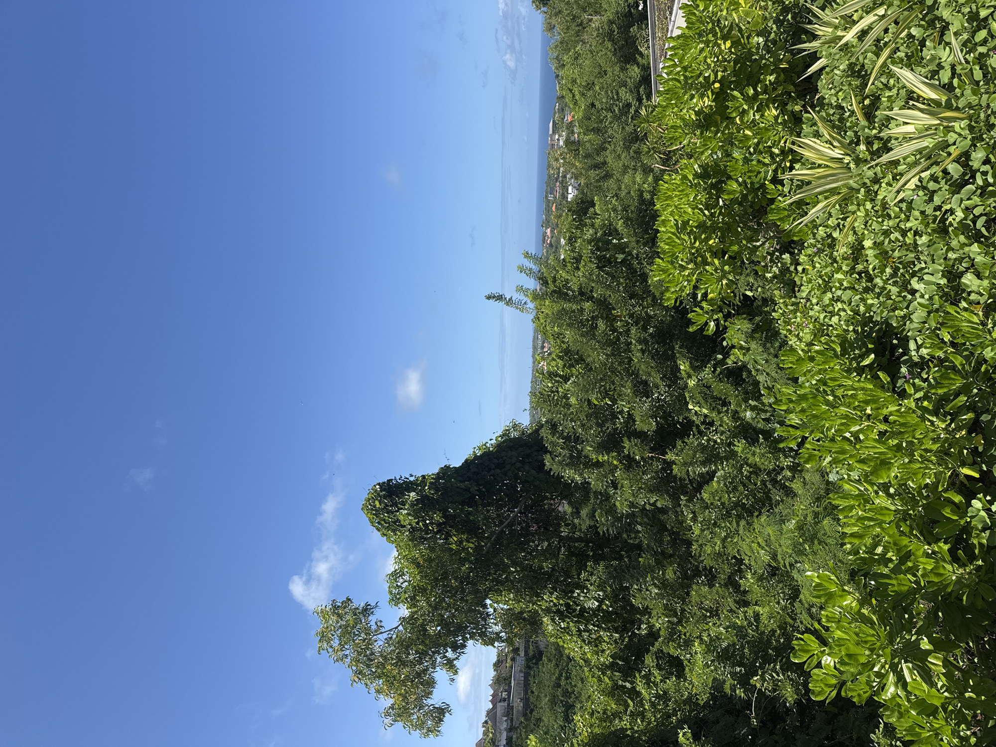 The image shows a view of Kuta Selatan, Indonesia. The sky is a clear blue with some white clouds. In the distance, the ocean can be seen. The foreground is dominated by lush green vegetation, including trees and bushes. Some buildings are visible among the trees in the middle ground.