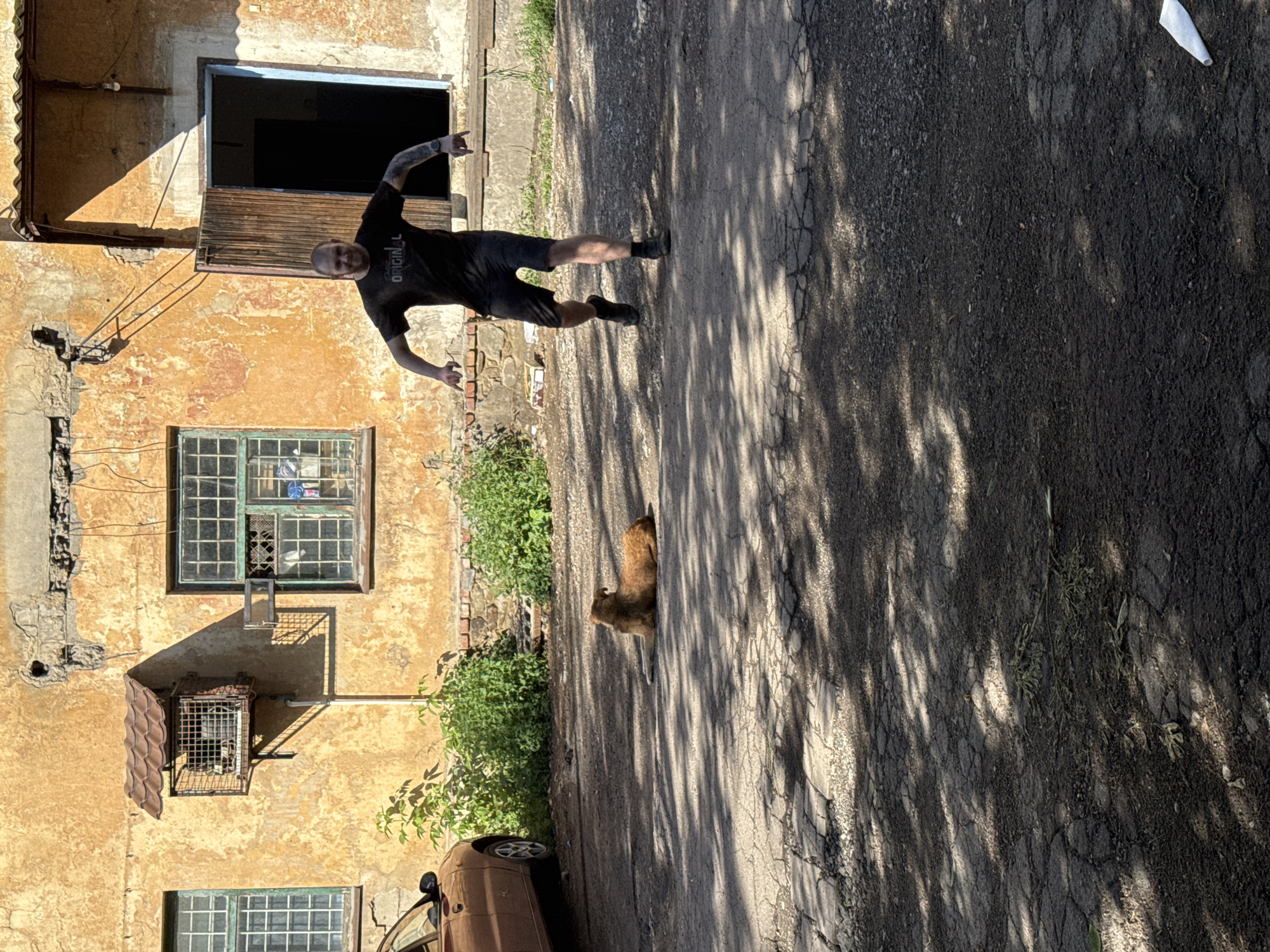 In an urban setting, a bald man with tattoos on his arms is running towards the camera on cracked asphalt. He is wearing a black t-shirt with the word "ORIGINAL" printed on it and black shorts. To his left, a light brown dog lies on the ground, facing away from the camera. Behind them, a weathered, orange building with green-gridded windows stands. An air conditioning unit is mounted on the exterior wall of the building. To the far left, the side of a light brown car is visible. Green foliage grows along the base of the building. The ground is dappled with sunlight and shadows.