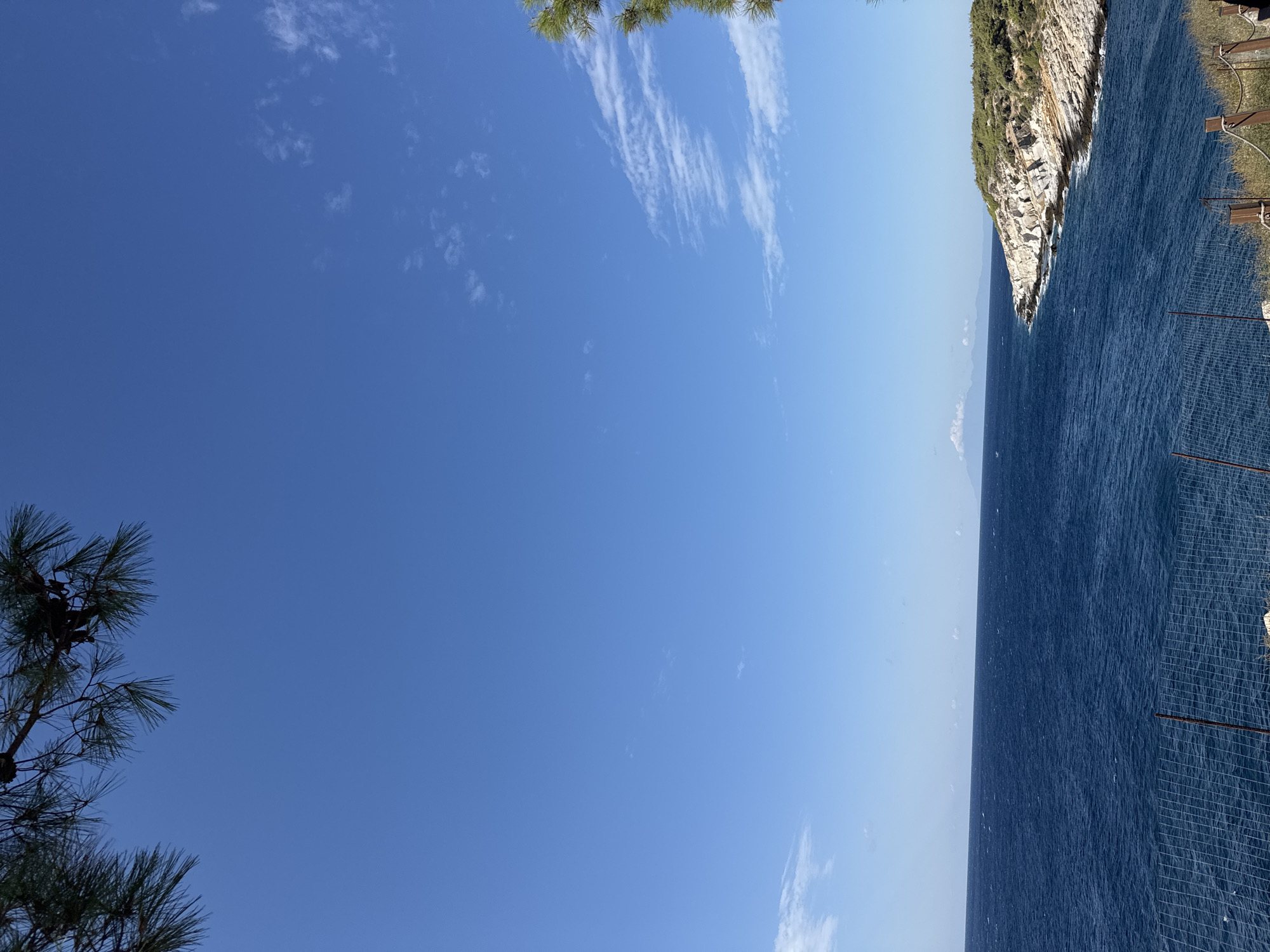 An eye-level shot shows a coastal landscape with a clear blue sky and calm, deep blue water. In the foreground, pine branches hang down from the top left corner of the frame. A wire fence runs horizontally across the lower part of the image, with some wooden posts and dry vegetation visible beyond it.
The middle ground features a rocky coastline jutting out into the sea, covered with green shrubs and trees. The water laps against the rocks. In the far distance, a hazy mountain range is visible on the horizon. The scene appears to be a scenic overlook, likely in Greece, given the presence of Mediterranean vegetation. No people or animals are present in the image. The lighting suggests it is daytime, likely late morning or early afternoon, with the sun illuminating the scene from the right.