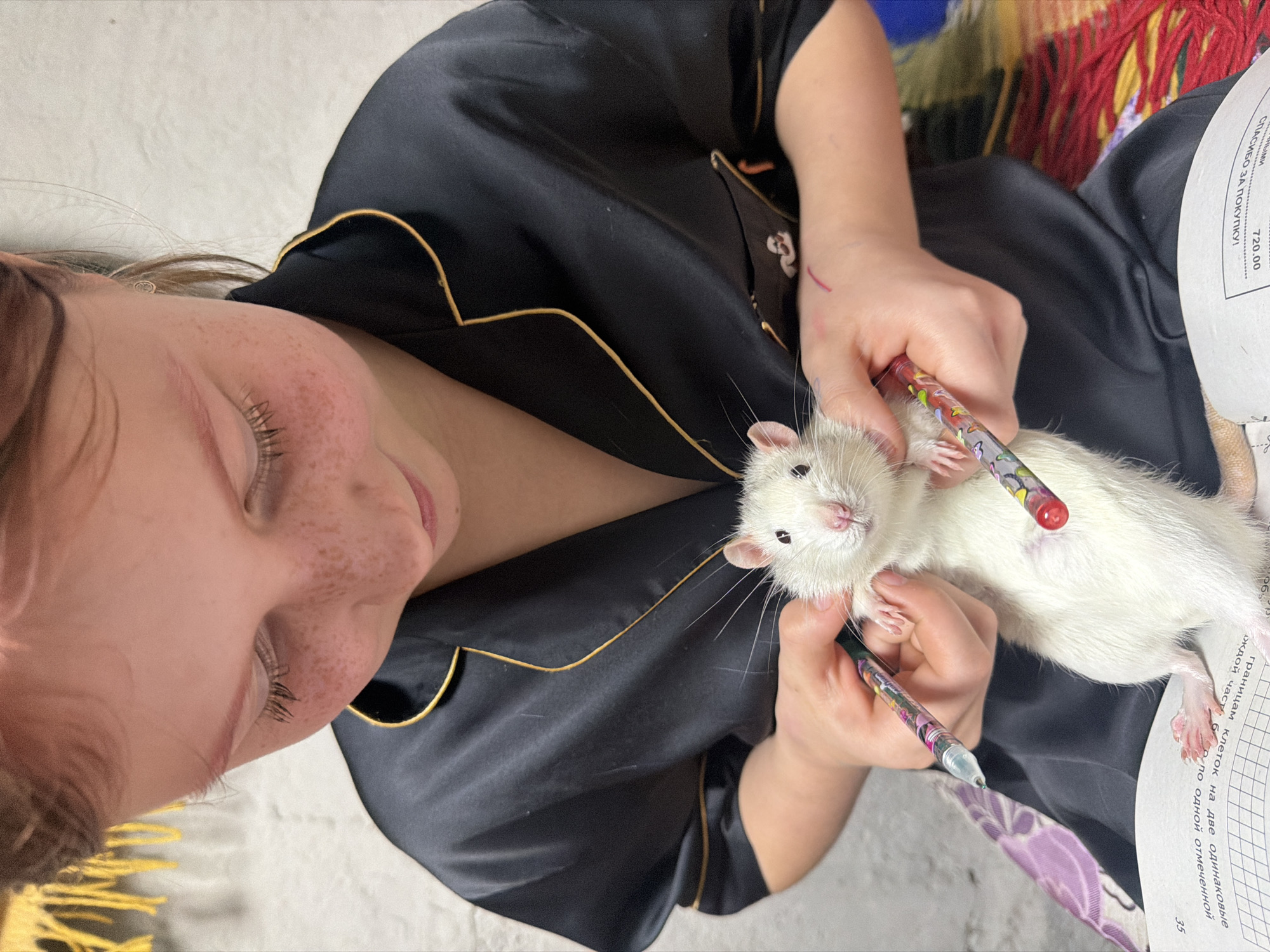 An indoor, eye-level shot captures a young person reclining with a white pet rat. The person, who appears to be a female with freckles and light hair, is wearing a black satin-like shirt with golden piping. Her face shows a slight, contented smile, and her eyes are partially closed.
She holds the small white rat with pink ears, nose, and paws, which rests comfortably on her torso. Her hands are adorned with faint lines of what appears to be colored ink. She holds two distinctively patterned pens, one in each hand, near the rat. One pen, with a red tip, is near the rat's back, while the other, with a clear tip, is near its chest and front paws. The rat appears calm and relaxed, looking towards the camera.
In the background, behind the person's right arm, there is a colorful, patterned blanket or fabric, possibly red, yellow, and blue. To the left, a light-colored surface, likely a bed sheet or blanket, is visible. On the right side of the image, a piece of white paper, possibly a receipt or document, is visible with Cyrillic text and numbers. The visible text includes phrases like "СПАСИБО ЗА ПОКУПКУ!" (Thank you for your purchase!) and numbers such as "720.00" and "35", suggesting a purchase receipt or a similar document. The scene exudes a casual and affectionate moment between a pet owner and their rat, possibly in Dubovaya, Russia.
