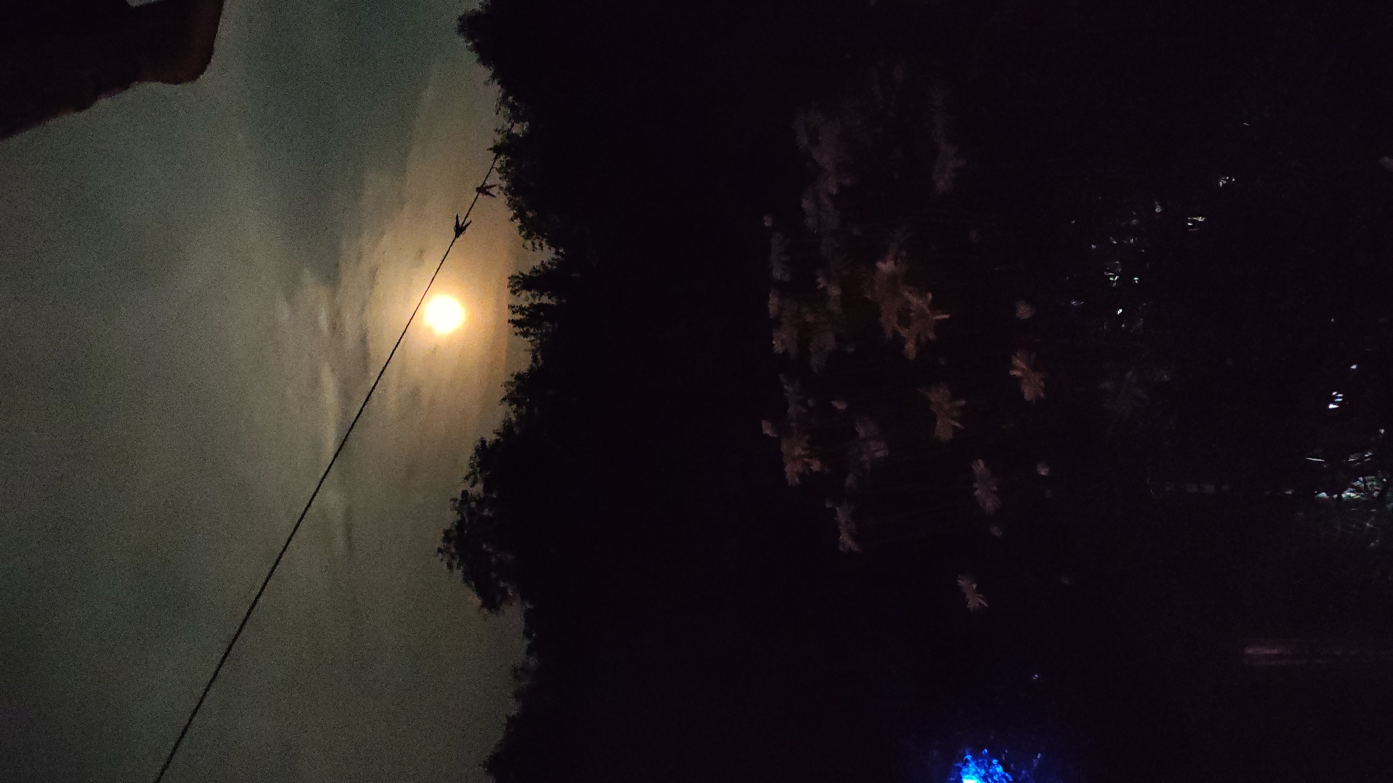 The image depicts a nighttime scene in Zhytomyr, Ukraine. The central subject is the moon, partially obscured by clouds, casting a warm, yellowish glow across the sky. A dark silhouette of trees frames the right side of the image, with some indistinct lighter shapes that might be flowers or foliage visible within the darkness. A thin, dark line, likely a wire or cable, stretches diagonally from the lower left to the upper right of the frame, passing in front of the moon. There are a few small, dark objects on this line, possibly clothespins. The upper left corner of the image shows a blurred, dark shape that appears to be a person's hand or arm, possibly holding the camera. The overall mood is mysterious and serene, with the muted moonlight creating a soft, ethereal atmosphere. The presence of the wire and the hand suggests a domestic or outdoor setting, perhaps a backyard or a park. The time of day is clearly night, indicated by the bright moon and the dark surroundings. The weather appears to be partly cloudy, as evidenced by the way the clouds diffuse the moonlight. No visible text is present in the image.