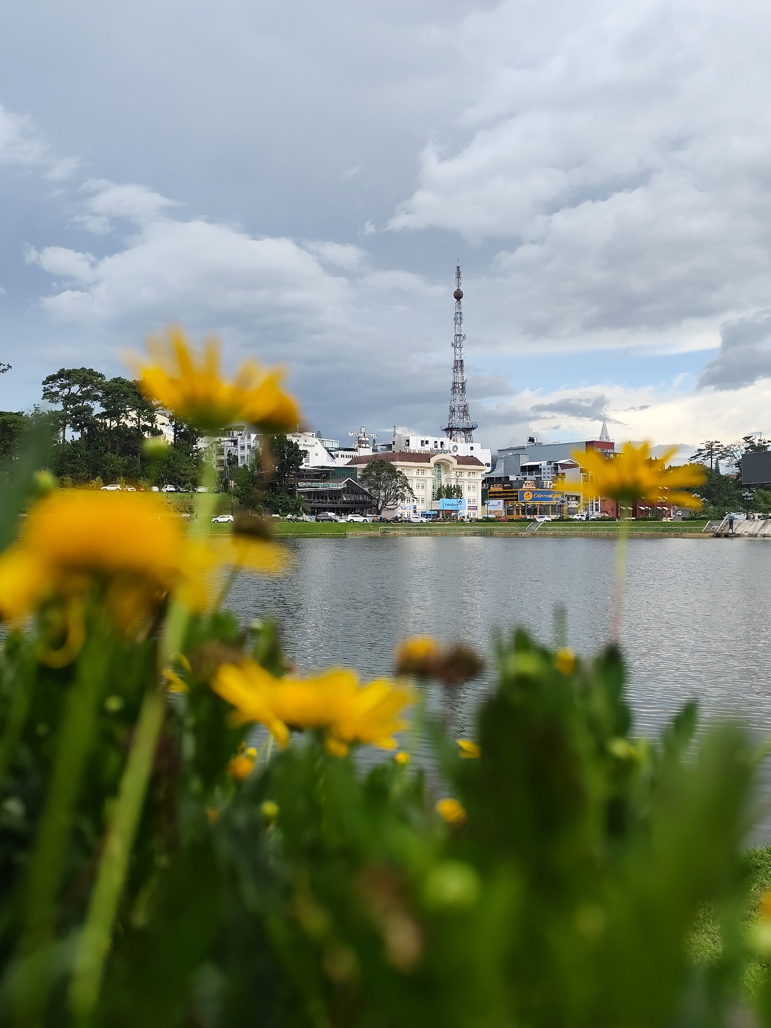 In Da Lat, Vietnam, a body of water reflects a cloudy sky and a distant cityscape. In the foreground, out-of-focus yellow flowers and green foliage dominate the lower half of the frame. The middle ground reveals the calm surface of a lake, with a paved embankment and a grassy slope on the far side. Beyond the embankment, a row of buildings lines the shore, including a prominent white building with "NATURE HOTEL" signage. A tall, lattice-like tower, likely a telecommunications tower, stands prominently against the sky. Pine trees are visible interspersed among the buildings, suggesting a park or forested area adjacent to the urban landscape. Cars are parked along the road bordering the lake, and a few appear to be in motion. The overall scene depicts a serene, partly overcast day in a Vietnamese city known for its natural beauty.