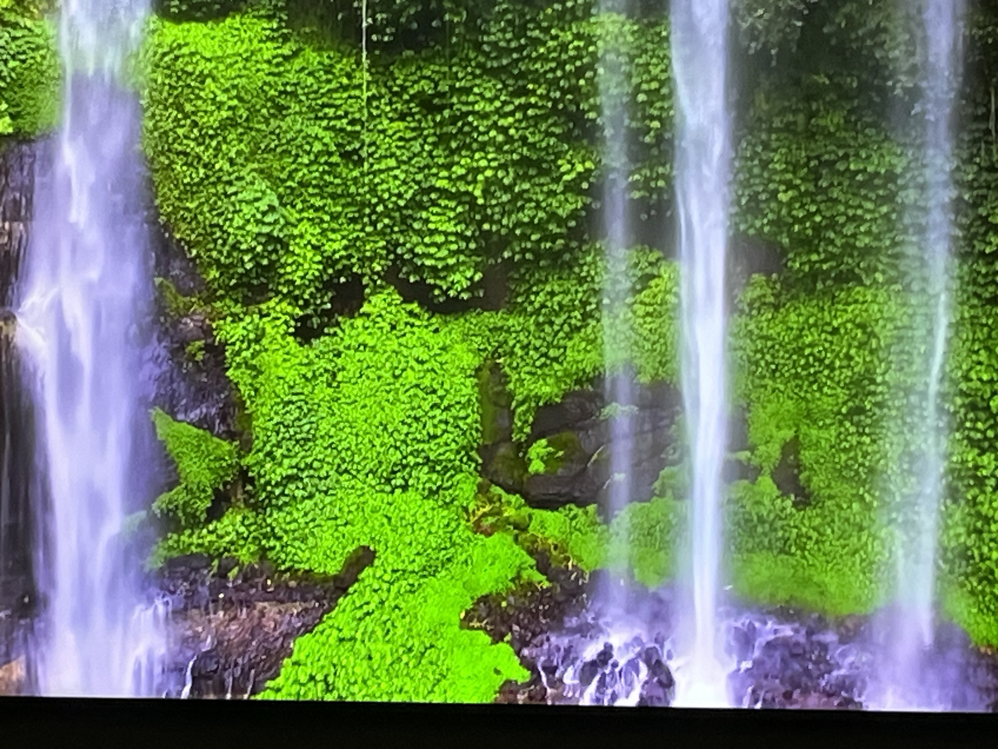 The image depicts a close-up view of a lush green waterfall cascading down moss-covered rocks. The water is a vibrant white, and the foliage is a rich, saturated green, suggesting a humid and well-watered environment. The scene is entirely natural, with no human presence or man-made objects visible. The composition focuses on the textures of the water and the dense plant life, creating a serene and naturalistic atmosphere. The location in Kharkiv, Ukraine is not identifiable from the image itself, as it only shows a natural landscape.