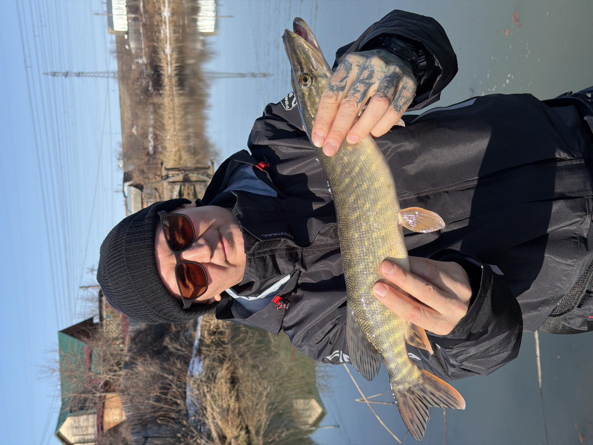 A man is holding a fish while standing near a body of water. The man is wearing a black beanie, sunglasses, and a black jacket. The fish is long and slender, with a light yellow-greenish body and darker spots. The man's hands are tattooed. In the background, there are trees, a building, and a power line tower. The location is Chaikovsky, Russia.